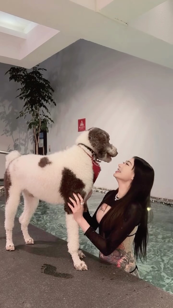 發一下去年帶咕董去台中旅館的泳池
他還想要跳下水🤣
我在水裡極力勸阻他下水
因為那時候還是冬天❄️怕他感冒
但是這段影片我真的超喜歡🥰
謝謝你一直陪在我身邊💗💗💗💗💗 縮圖
