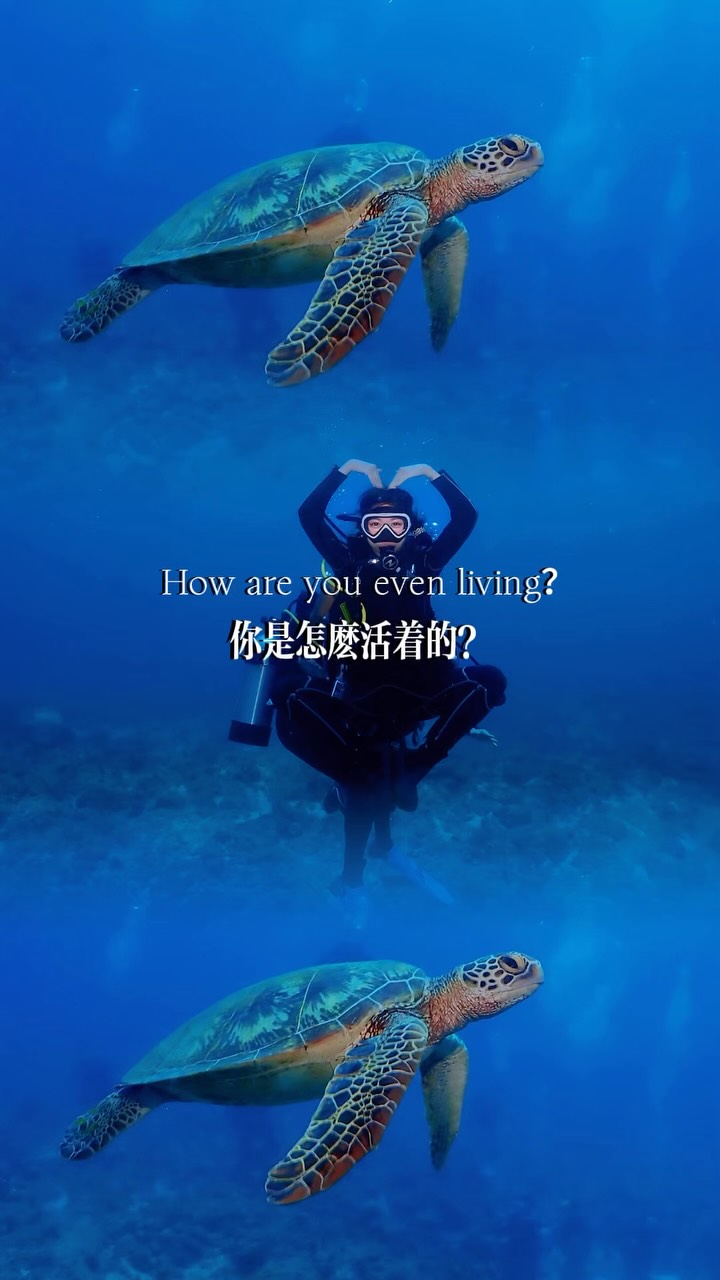 在另一個宇宙
連呼吸都變得浪漫💗
海不要你完美 只要你自由
把壞情緒丟進海裡 都會流向遠方~
小琉球潛水🤿初體驗
是找 @seaotter_dive
0經驗教練一對一帶
一人一台GoPro想拍什麼就拍什麼
太喜歡了🥰好想每天泡在海裡🫧 縮圖