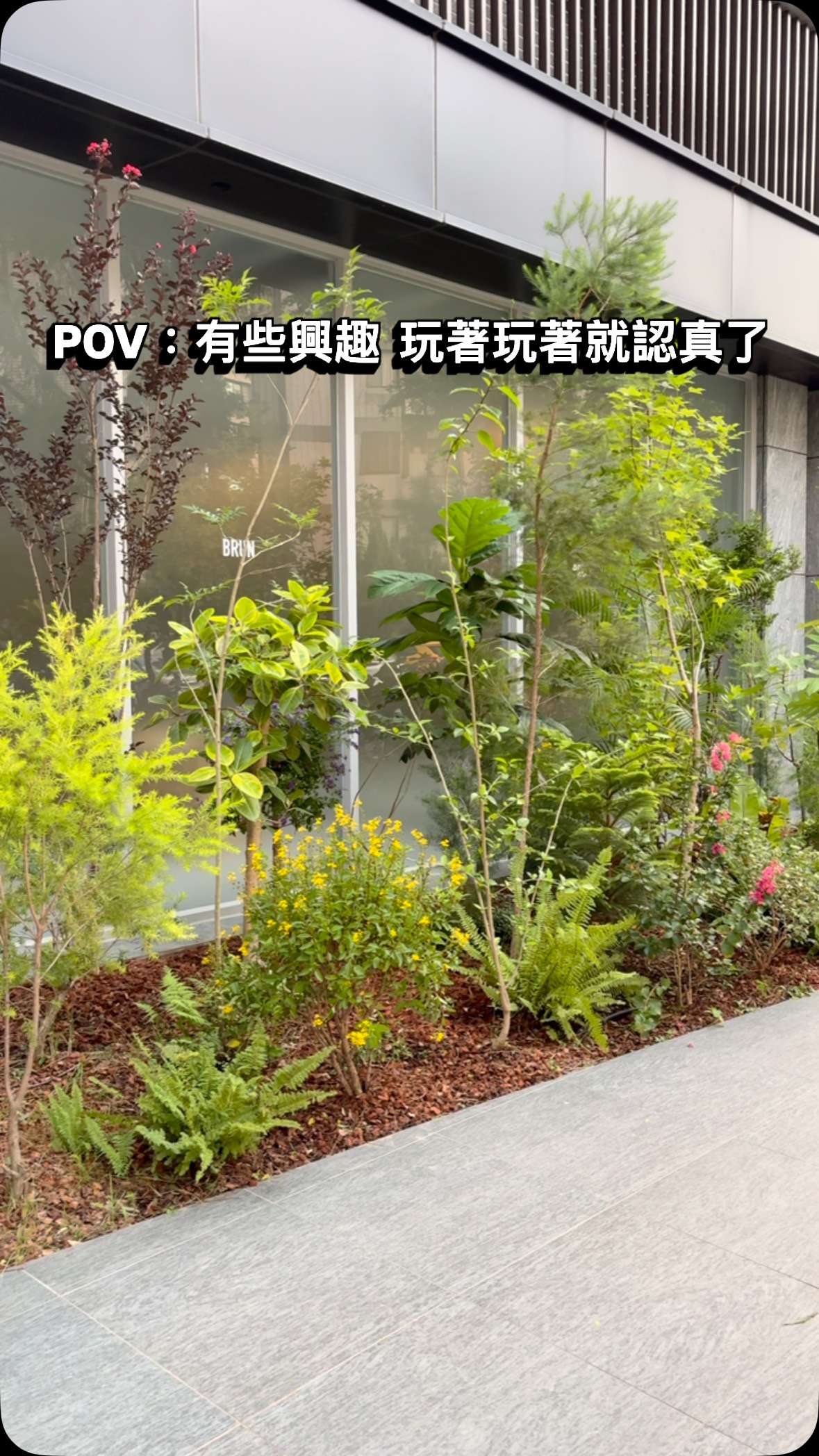 除了煮飯
也很喜歡弄植物🌿

從挑植物、搬植物
到一棵一棵自己種下去
看著空空的地方慢慢變成喜歡的樣子
還真的滿有成就感

有些興趣就是這樣
玩著玩著就認真了🤣

看來以後除了問我晚餐吃什麼
也可以問我這棵怎麼種了🌱

#植物 #植栽 #興趣 縮圖