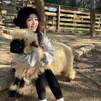 Emily Chen Instagram 創作者頭像