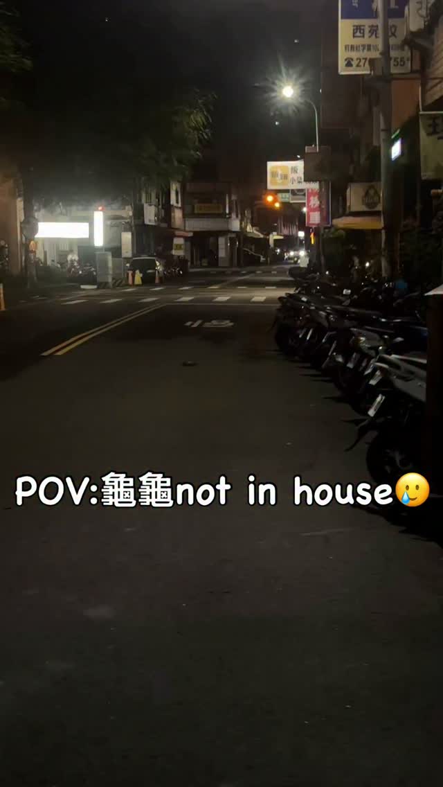 龜龜不應該在車裡
還真的在車底🥲🥲
但我怕他咬我不敢帶他離開
#台中 縮圖