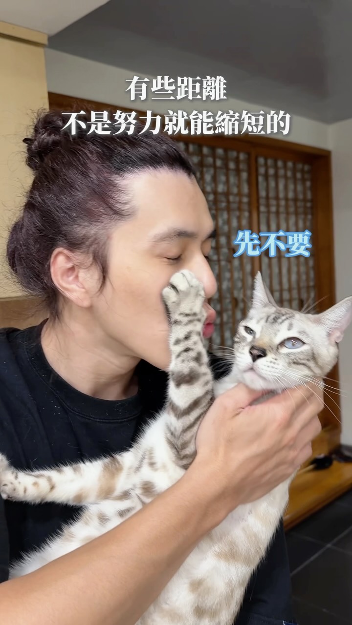 所以..愛會消失對嗎…

#雪之助與小露 #貓咪 #貓咪日常 縮圖