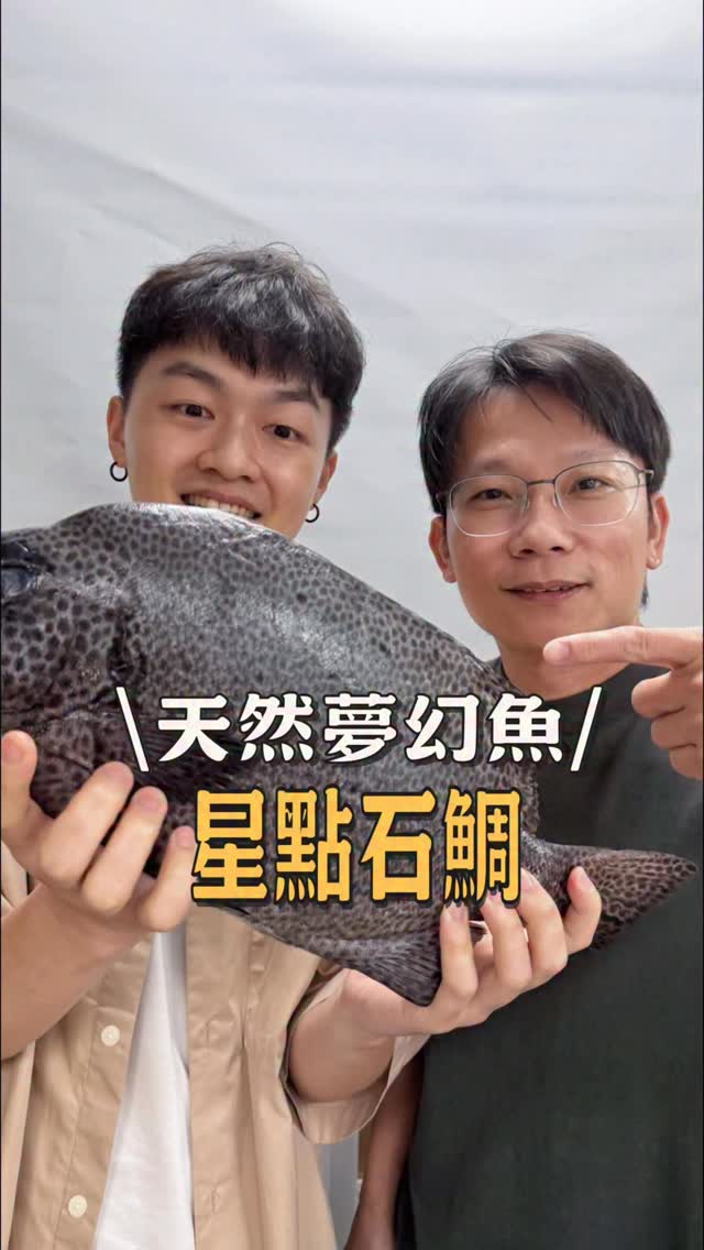 我們跟腰哥預訂了一隻星點石鯛,這可是大家常說的夢幻之魚啊~~!
咦?怎麼好像很多魚,最後都會被說成夢幻魚😂
不過這隻貴是真的貴,好吃也是真的讓人驚艷。
魚肉帶著漂亮的油脂和彈性,除了切成生魚片,我們也把魚頭拿去做成つけ麺,下篇來跟大家分享。
🌟石鯛這類礁區魚有累積雪卡毒的風險。
毒素原本來自附著在珊瑚礁與藻類上的有毒渦鞭毛藻,再經由大魚吃小魚的食物鏈,慢慢累積在魚體內,而且加熱也無法破壞。
尤其魚皮、內臟和魚卵的風險比較高,所以成魚建議不要食用,這點要更加留意。
最後切出來擺盤真的超級美,又有一種餐廳上菜的幸福感~
這種石鯛……可以再多來幾次🤣
只是荷包可能要先做好準備⚠️
#石鯛 #料理男子 #在家料理 #育子燒做料理 #生魚片 縮圖