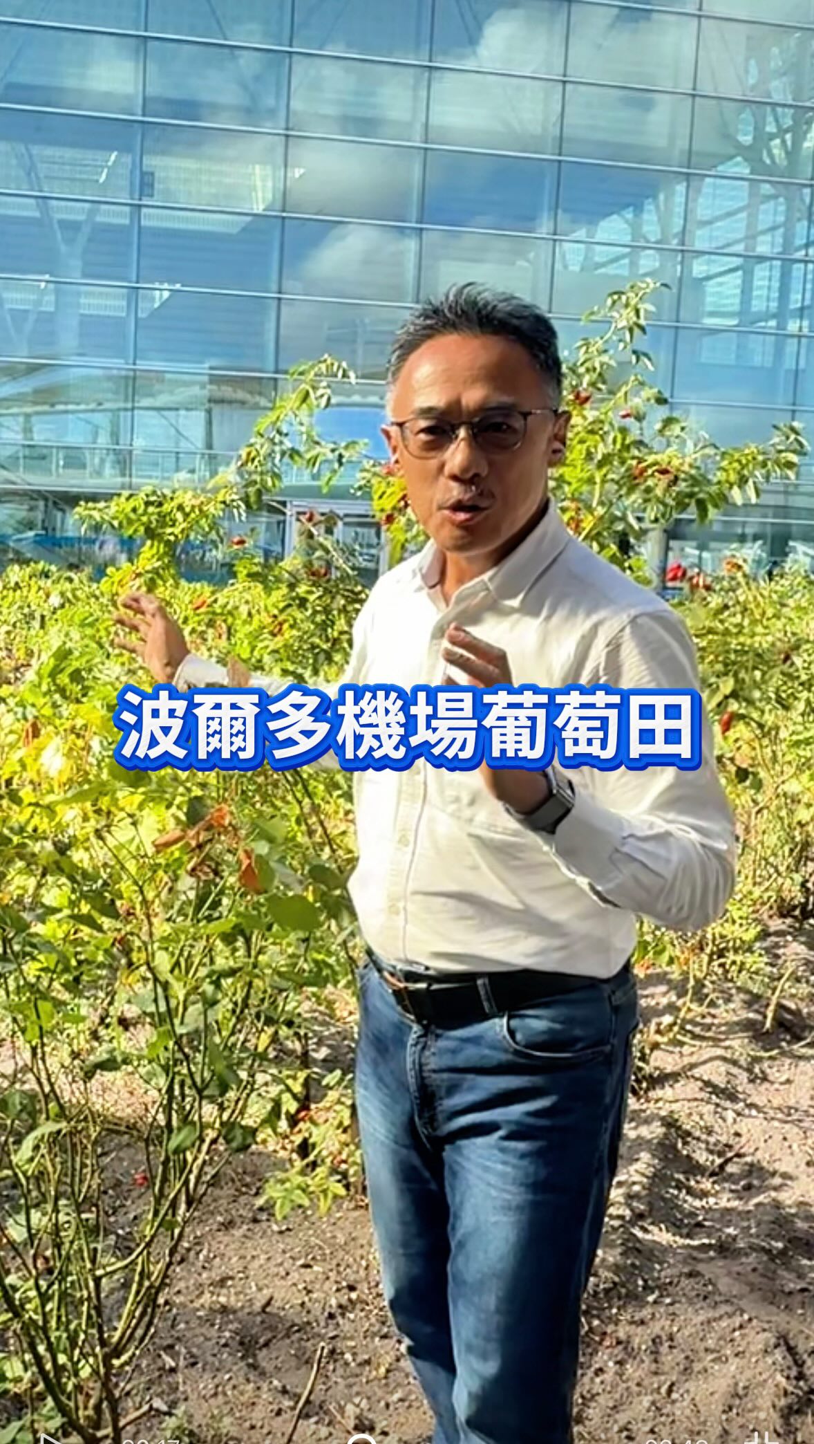 波爾多機場旁的葡萄田
真的有釀葡萄酒
不是景觀植栽哦
更多波爾多資訊,留言:+1
歡迎加入:杰克大叔同樂會 縮圖