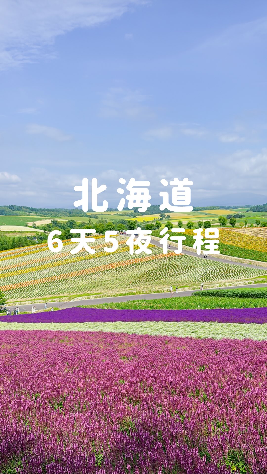 北海道6天5夜行程
自駕+搭車
去了outlet、看了棒球、札幌市區逛街、小樽、富良野
夏天的北海道天氣太涼爽了!真的是避暑勝地 縮圖