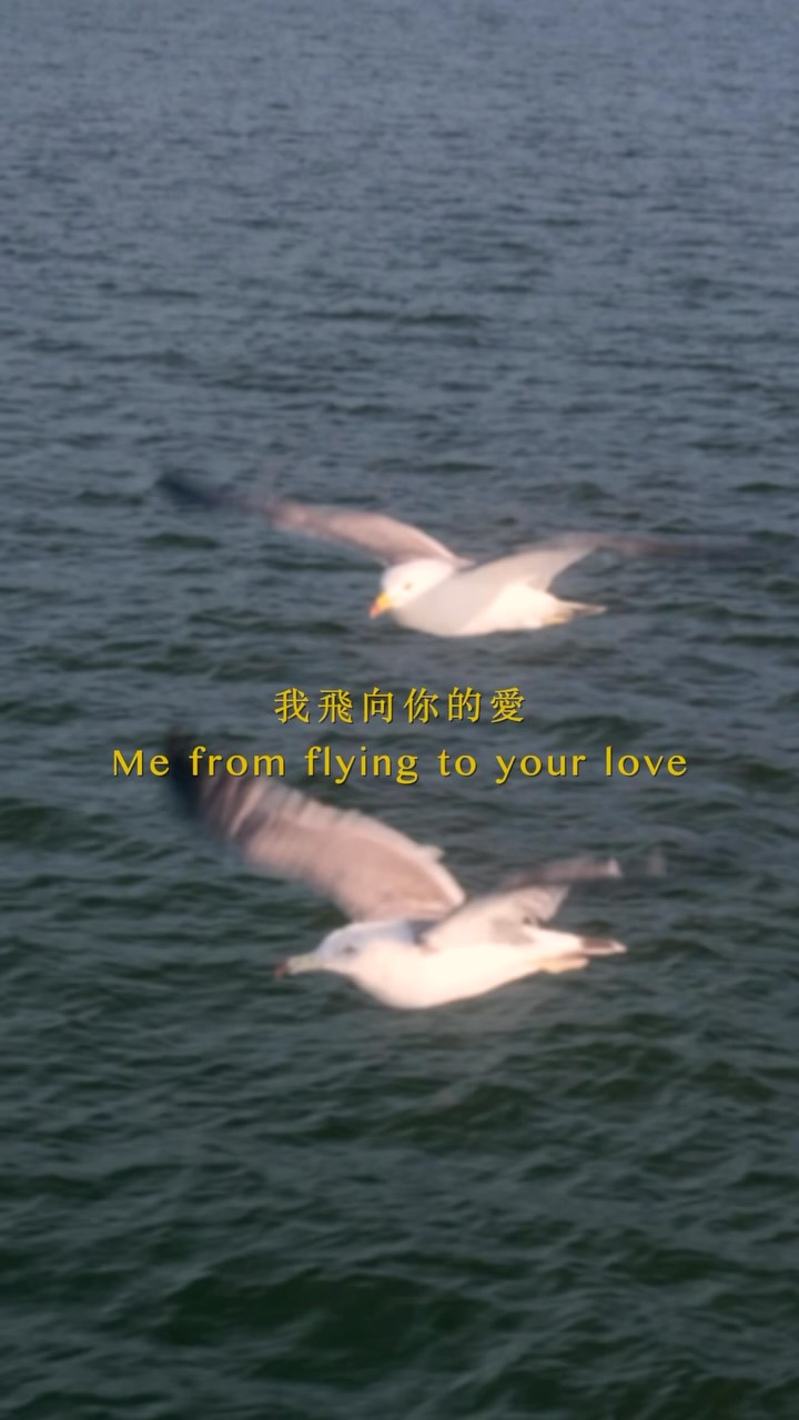 雖然大家說這首歌適合夕陽,
但對我來說更像經歷一切後的黎明,
低潮就像黑夜,不斷的自我懷疑與檢討,
豁然開朗後的黎明顯得特別耀眼。
#落日飛車 #日本 #伊根 #japan #music 縮圖