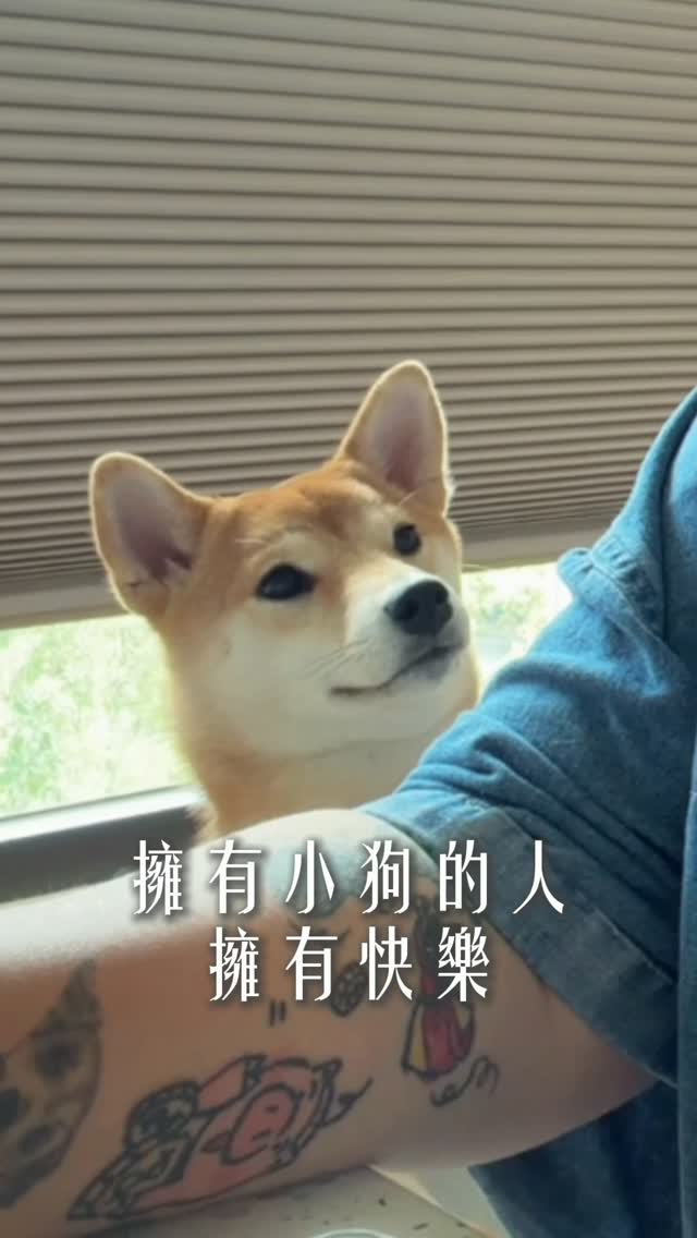 我本來是要錄防曬影片的
但突然不重要了 縮圖
