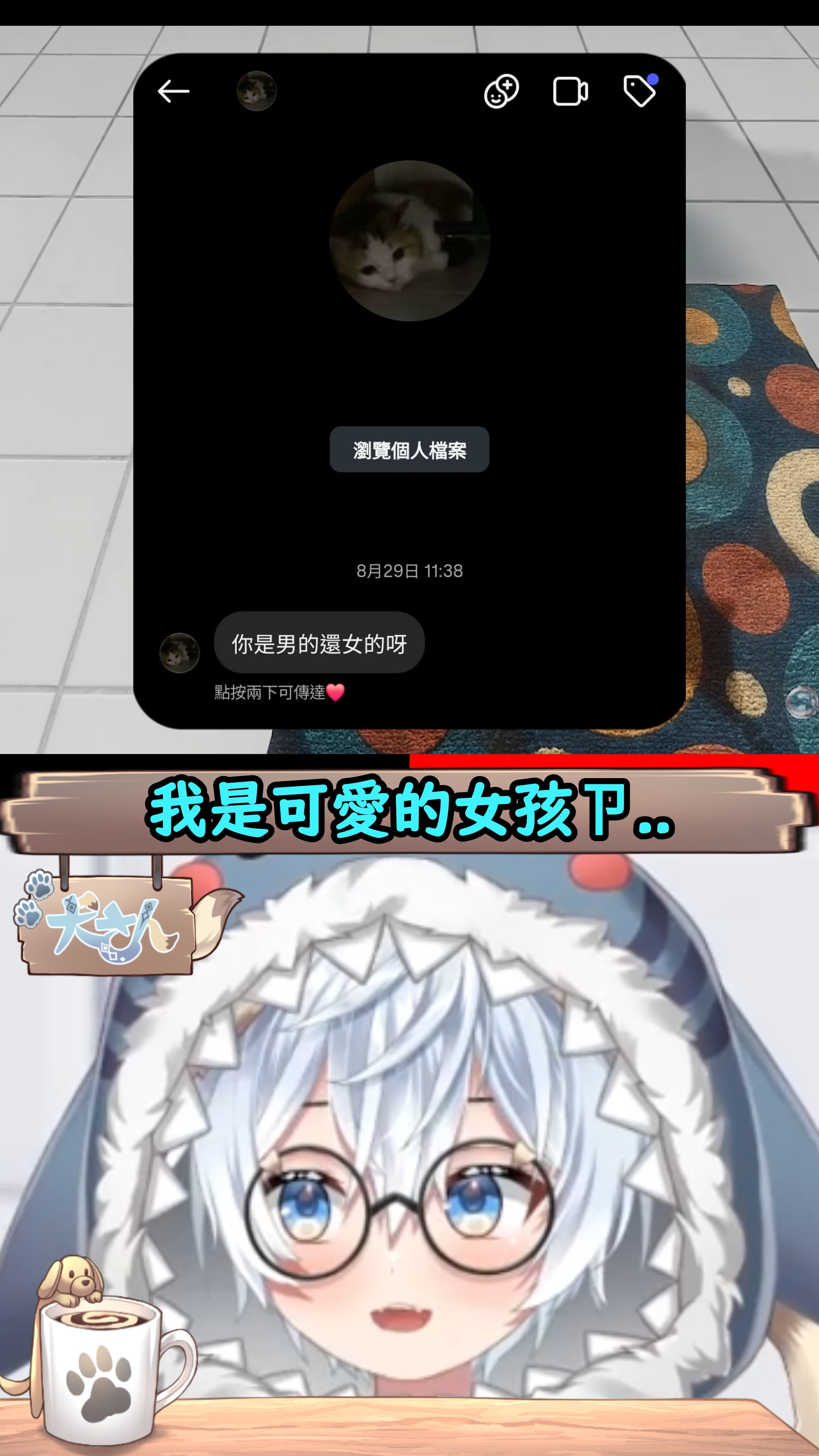 洗地毯的充實生活🧽 縮圖