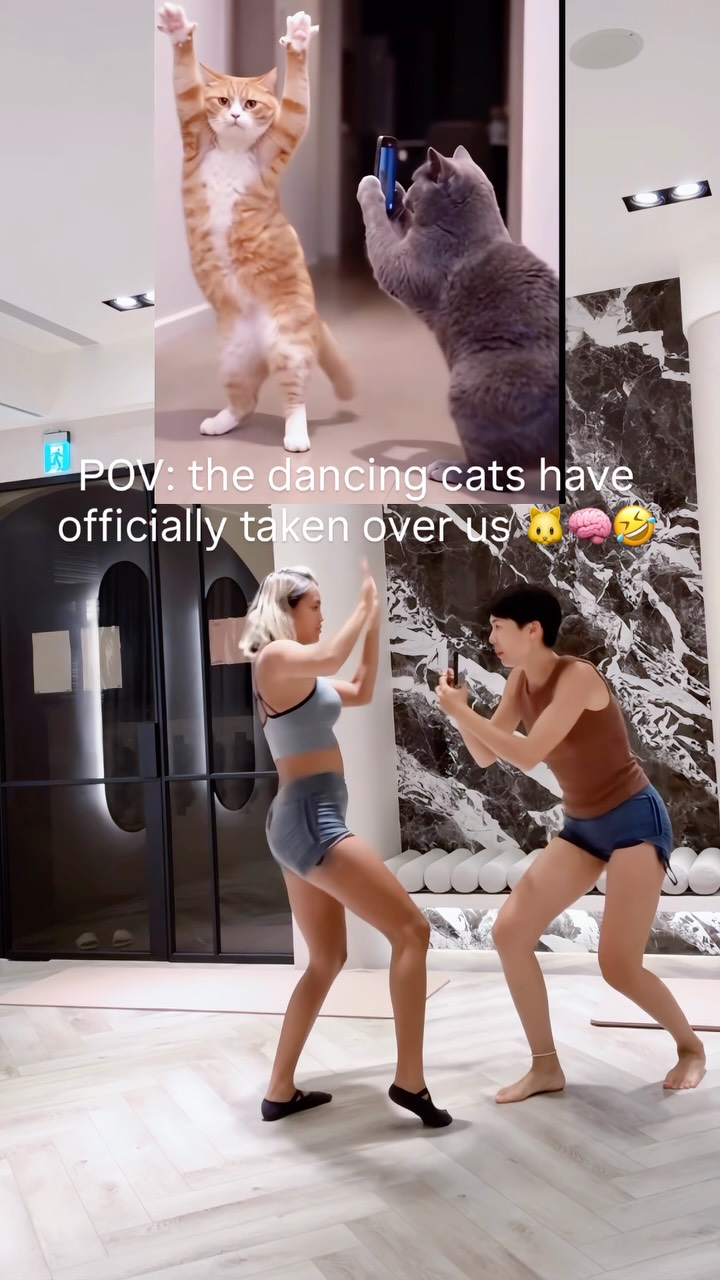 .
POV: the dancing cats have officially taken over us 🐱🧠🤣 縮圖