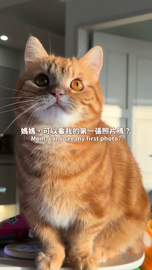 一點一點的長大了✨ 縮圖