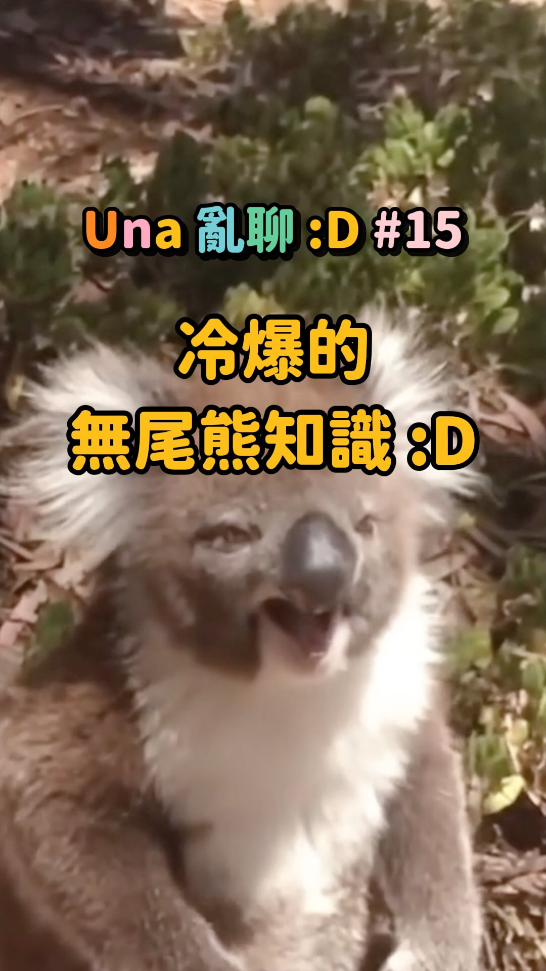 這篇小知識的靈感,來自上誼出版 (@hsinyibook) 超可愛圖文書《壽命圖鑑》,書中描繪各種生物和非生物的壽命,每個都會補充有趣的小知識,無尾熊的部分就補充了「寶寶會吃媽媽的大便」這件事,讓我大為震驚,才一路查了後續的事情🤣🐨
推喜歡奇怪冷知識的朋友們可以找來看看噢🥸✨
#u讀 #冷知識 #無尾熊 #動物 #科普 縮圖