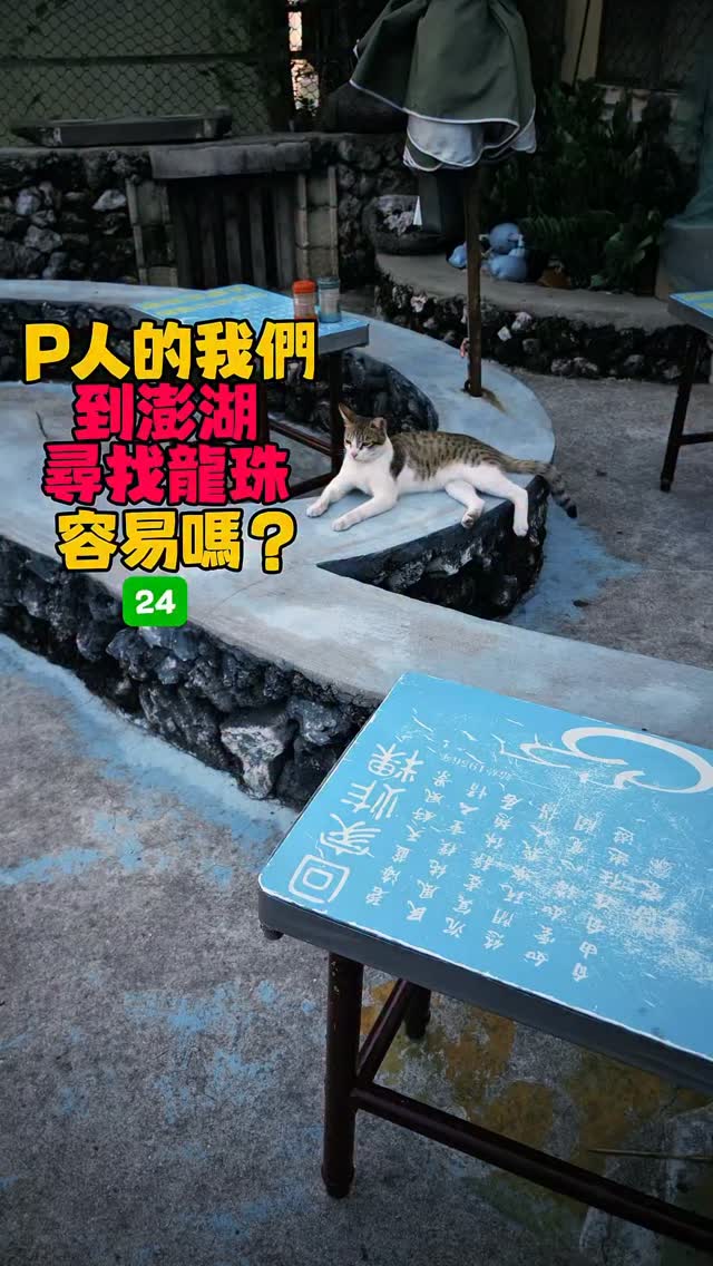蓋完章肚子餓到不行！！！！！

還好我們在回程的路上有繞去 #回家炸粿 （計劃通👍🏼
 
@muniqueque 鹹食擔當，
而我負責專攻甜的🫶🏻

在這裡鄭重的宣佈—
下次經過，
還要買！！！
（如果時間夠就能坐在店裡看貓貓一邊吃了🥲

#p人的我們到澎湖尋找龍珠容易嗎 
#澎湖 #penghu #澎湖美食
#大文

在這邊呼籲 @penghu_can 把炸物口袋名單交出來，
不然就⋯⋯
不然我可能會試太多家🤓 縮圖