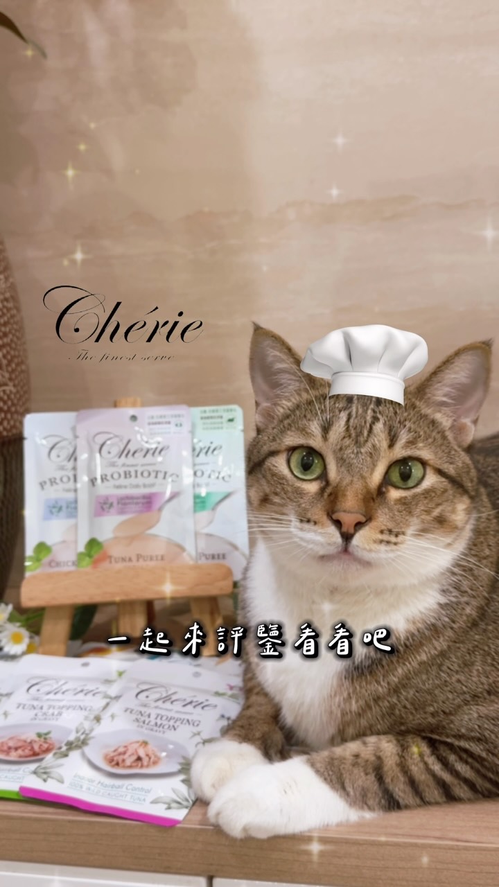 !!文末好康報報!!

今天讓66化身貓界米其林評審👨🏻‍🍳🐾
#法麗米其林挑戰

面對整排不同口味的餐包，挑嘴評審到底會選誰？
原本以為一次試吃這麼多款，
反應應該都差不多，結果每款端上桌後，
66的表現都超級誠實🤣

有的才剛打開就立刻開吃，有的吃完還會繼續找，
喜歡程度完全藏不住！
尤其新款乳酸菌主食貓餐包，甚至吃到整張臉都是，完全就是用行動在打分數😂
 
這次挑戰的是法麗𝐂𝐡𝐞𝐫𝐢𝐞三大系列：
🤍 乳酸菌主食貓餐包 新口味
🤍 招牌微湯汁餐包
🤍 微湯汁室內貓排毛餐包
 
最後 66 的貓界米其林 𝐓𝐎𝐏𝟏 是
🥇乳酸菌主食貓餐包｜關節保健 ★★★
一放下就馬上開吃，還直接吃到滿臉都是🤣
看來這款真的有成功收服挑嘴評審！
 
乳酸菌系列添加植物乳桿菌，
針對毛孩不同需求設計多元機能配方。
𝟒𝟎𝐠小包裝，符合 𝐅𝐄𝐃𝐈𝐀𝐅 主食營養標準，
絲滑質地也很好入口，適合不同年齡的貓咪。
 
乳酸菌系列還有不同機能選擇：
✨𝐍𝐄𝐖新口味✨
◆ 鮪魚肉泥｜熟齡貓照護、護腎配方
◆ 雞肉肉泥｜關節保健、化毛順暢
原有口味還有：
◆ 鮪魚肉泥｜泌尿道保健、結紮貓保健
◆ 雞肉肉泥｜毛髮生長、緩和紓壓
 
看完 66 的試吃評分，
你們家毛孩最想吃吃看哪一款呢？🐱💛

𝟗/𝟏-𝟗/𝟑𝟎 加入派派官網會員
購買招牌微湯汁餐包/微湯汁室內貓排毛餐包兩系列滿$𝟒𝟗𝟗就送購物金$𝟏𝟎𝟎✨
現在買最划算! 購物金要𝟏𝟎/𝟑𝟏前使用完畢呦!
 
法麗𝐂𝐡𝐞𝐫𝐢𝐞｜🛒 @cheriepetfood 

#Cherie #法麗 #法麗餐包 縮圖