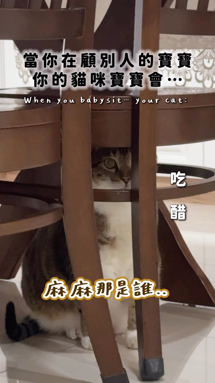 麻麻 我不是妳的大寶寶嗎🥹

#我是66 #貓咪日常 #米克斯 #虎斑貓 縮圖