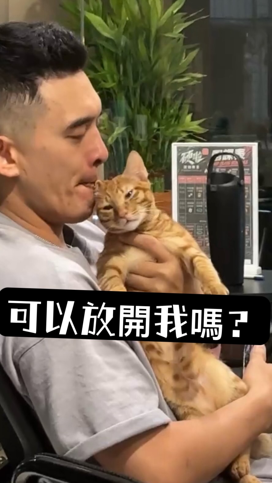 貓咪表示生無可戀🤩🤩🤩
#貓咪 #橘貓 #阿伯怪 #總裁 縮圖
