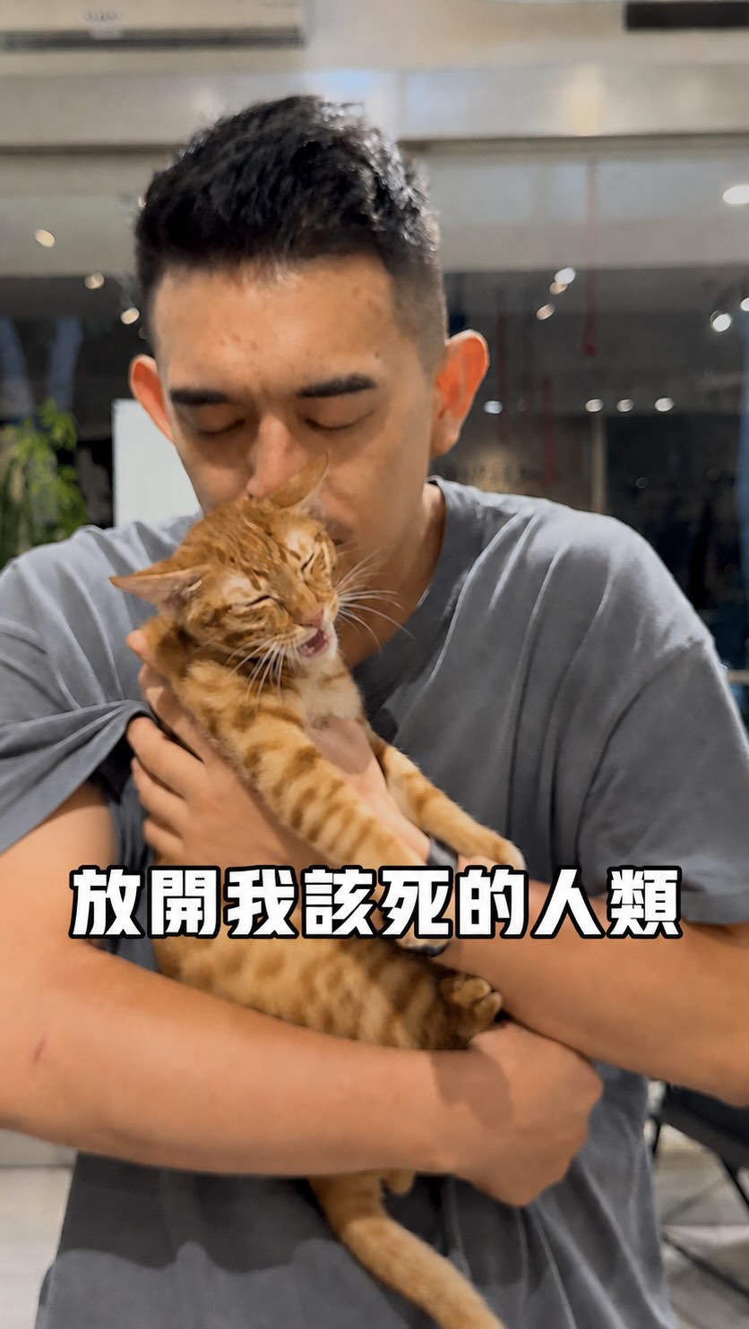 好委屈的貓咪呀！
「聲音過於大聲，請轉成音量小聲」
#愛 #橘貓 #阿伯怪 #委屈 #可愛 縮圖