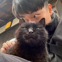 貓七 Boyy  | 貓攝影師 Instagram 創作者頭像