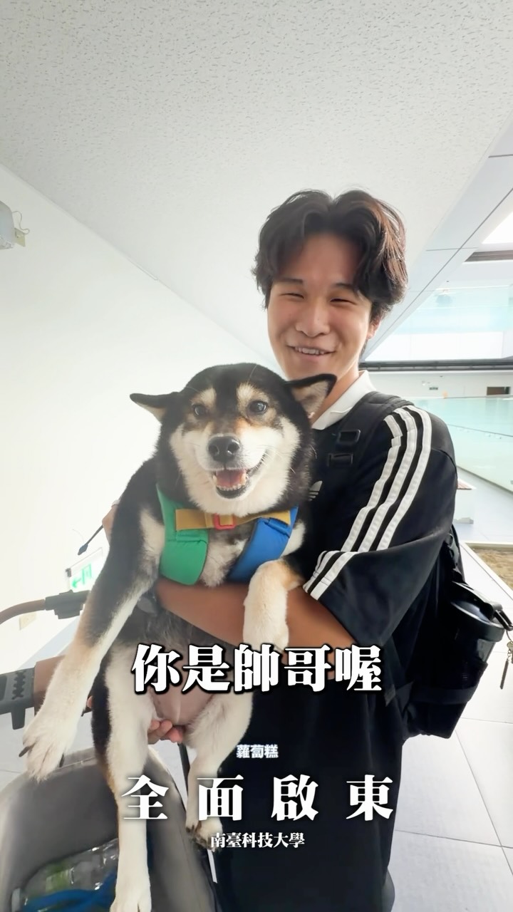 快閃台南唯一擁抱🫂🤣 @fatfatgod 

#時刻影像工作室 #柴犬七仙女 #南臺科技大學 #蘿蔔糕 #炎夏漫活創意說畫 縮圖