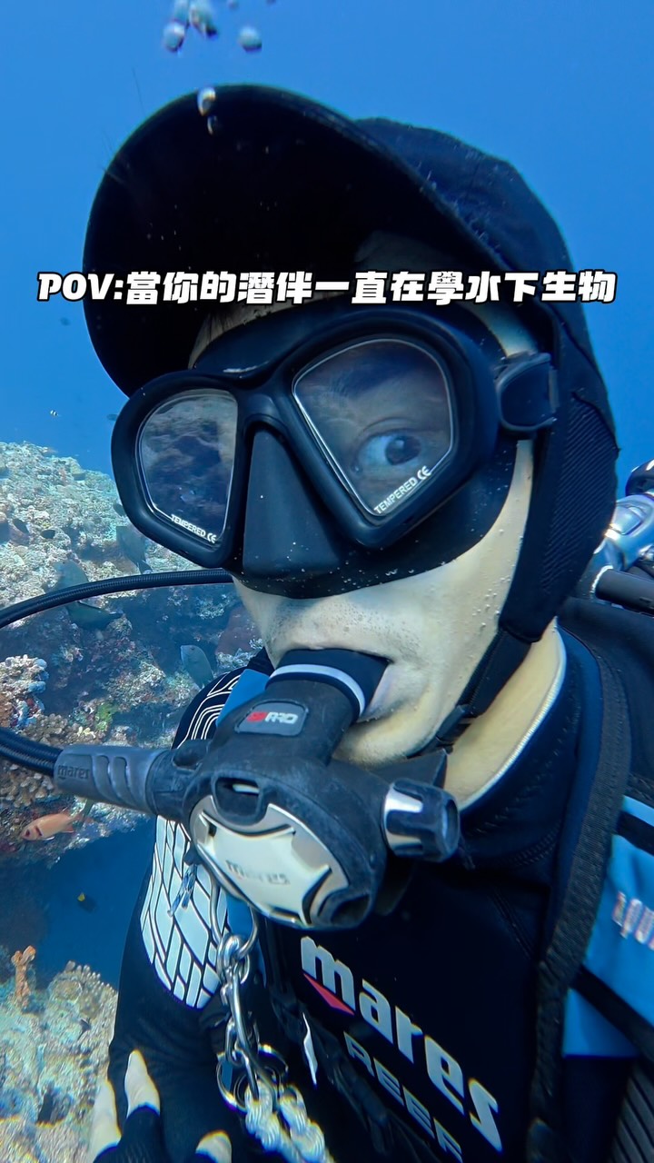 你有沒有這種潛伴🤣 縮圖