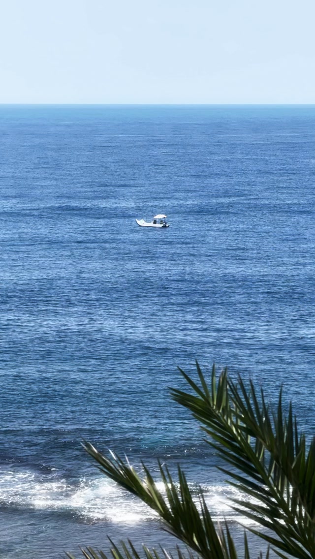 大海的治癒能力真的很強
光是在岸上看著就覺得獲得滿滿的溫暖🤍 縮圖
