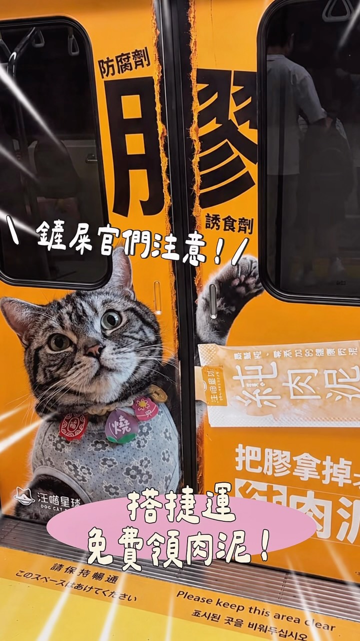 鏟屎官們注意⚠️ 搭捷運竟然能免費領肉泥!
最近討論度超高的「肉泥車車」🚇你們搭到了嗎?
從車門到整個車廂都是貓咪
竟然還可以直接餵車上的貓貓吃肉泥🤣
@dogcat.star 真的太會啦!
身為貓奴真的會原地瘋掉!
上班搭個捷運都直接被療癒到🥹
而且這款純肉泥燒燒已經回購 N 次
每次補貨餐包,都會順手把純肉泥一起帶回家~
會一直回購也是因為成分真的很單純!
汪喵花了 2 年開發這款純肉泥
0人工膠類、0澱粉、0人工誘食劑
把不必要的複雜添加拿掉,
也是我一直很放心給燒燒吃的原因🤍
這次看到燒燒愛吃的肉泥直接登上捷運
當然要帶大家一起來追車🤣
鏟屎官們搭上這班記得找找車廂裡的 QR Code
掃描就能免費兌換 10 條純肉泥!
即日起至 8/31|台北捷運限定
🚇 板南線|車組 125/126
🚇 淡水信義線|車組 523/524
可以用台北捷運GO App 查詢車組即時位置哦~
快分享給你身邊的鏟屎官,一起幫主子換肉泥🐱 縮圖