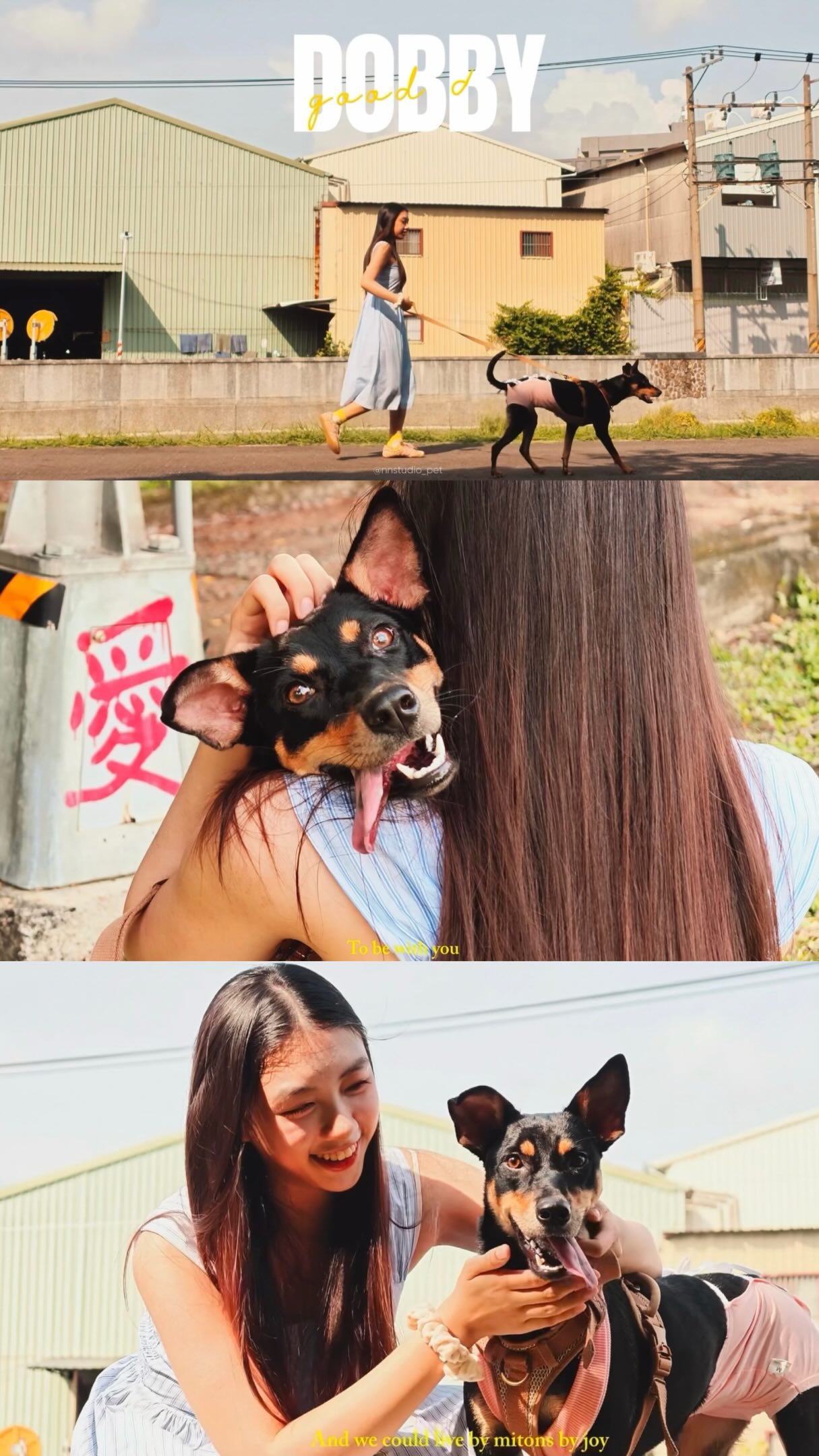 🐾
愛不用說出口
從牠的表情和舉動裡,就能感受到
It’s a beautiful day to be with you.
把平凡的日常,拍成屬於你們的獨家記憶吧🫶🏻 縮圖