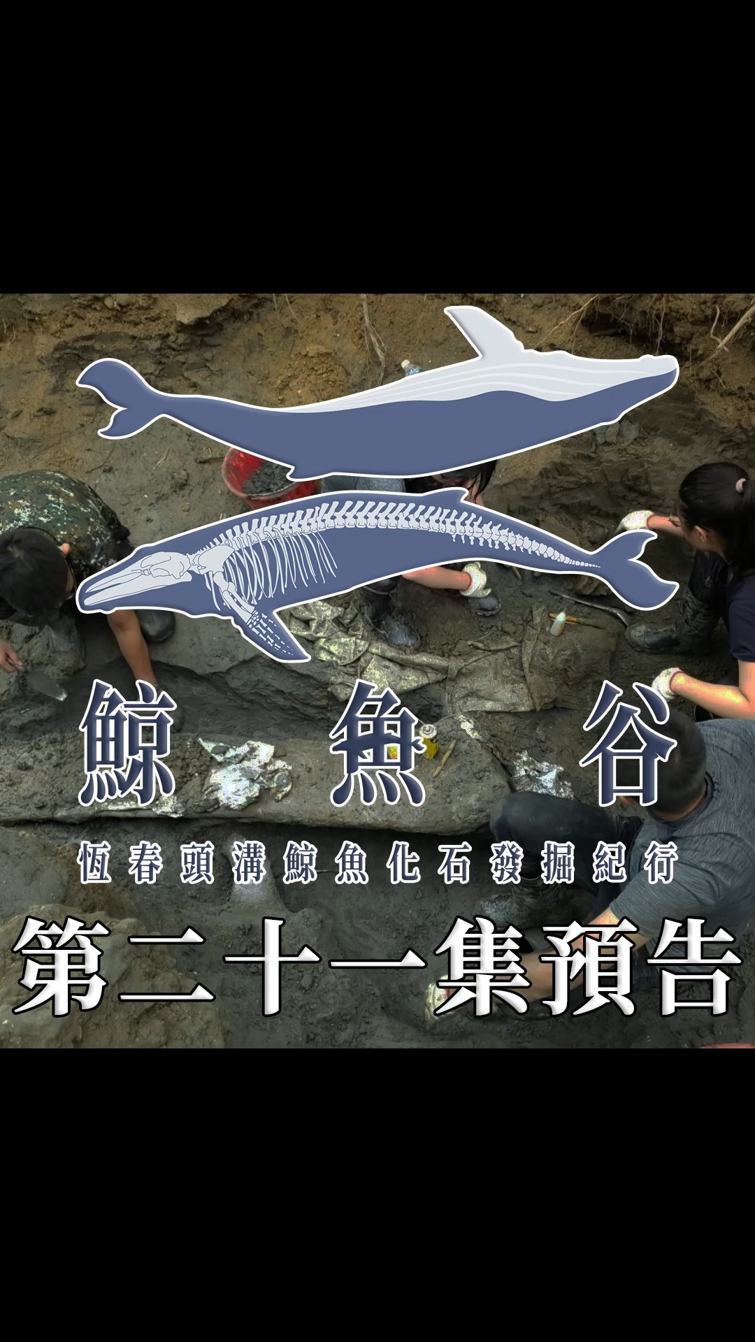 【《鯨魚谷》第二十一集 亡靈之地(Amenta),8/22(六)21:00播出!】
《鯨魚谷:恆春頭溝鯨魚化石發掘紀行》第四季第一集- 亡靈之地(Amenta),將於8/22(六)21:00播出,敬請準時收看!我將會在聊天室與大家直接互動!
我們的預言終於成真!
在我們前三季不斷地發掘之下,這隻鯨魚化石不僅保存了胸腔與相連的腰椎,更發現了那近乎完整的、如深淵巨口般的上頷骨與下頷骨!
然而這巨大的下頷骨,絕非凡人的力量所能撼動,我們真能將其帶離這片河谷嗎?在那泥岩地層的深處,鯨魚化石其他部位的骨骼究竟有多完整?還會有什麼祕密正窺伺著我們,等待我們的喚醒呢?
但在發現帶來的驚嘆背後,死亡的陰影,卻如影隨形…。
本季與上一季相同有幾個重要的改動,以下簡述之:
█ 「超級感謝」+「熱推」-對影片創作的實際支持
「超級感謝」是YouTube官方推出贊助創作者的功能(抖內),如果大家喜歡我製作的《鯨魚谷》系列紀錄片,並覺得這類影片有科學教育的價值,讓大家更能看見這片土地的歷史,歡迎點選影片右下角的「超級感謝」按鈕,給予影片製作實質的支持!
「熱推」則是可以讓創作者的影片被更多新觀眾看到,如果大家想讓這一支紀錄片讓更多人看見,請大家在影片發布後給我的影片熱推喔!
█ 發掘時提取的骨骼化石會在骨骼繪圖上塗紅標示
由於發掘正式開始,骨骼數量急遽變多,容易搞混,因此在發掘時提取的骨骼化石會在骨骼繪圖上塗紅標示,讓大家能即時掌握發掘動態。
#鯨魚 #鯨魚化石#化石 #化石採集 #古生物#恆春 縮圖