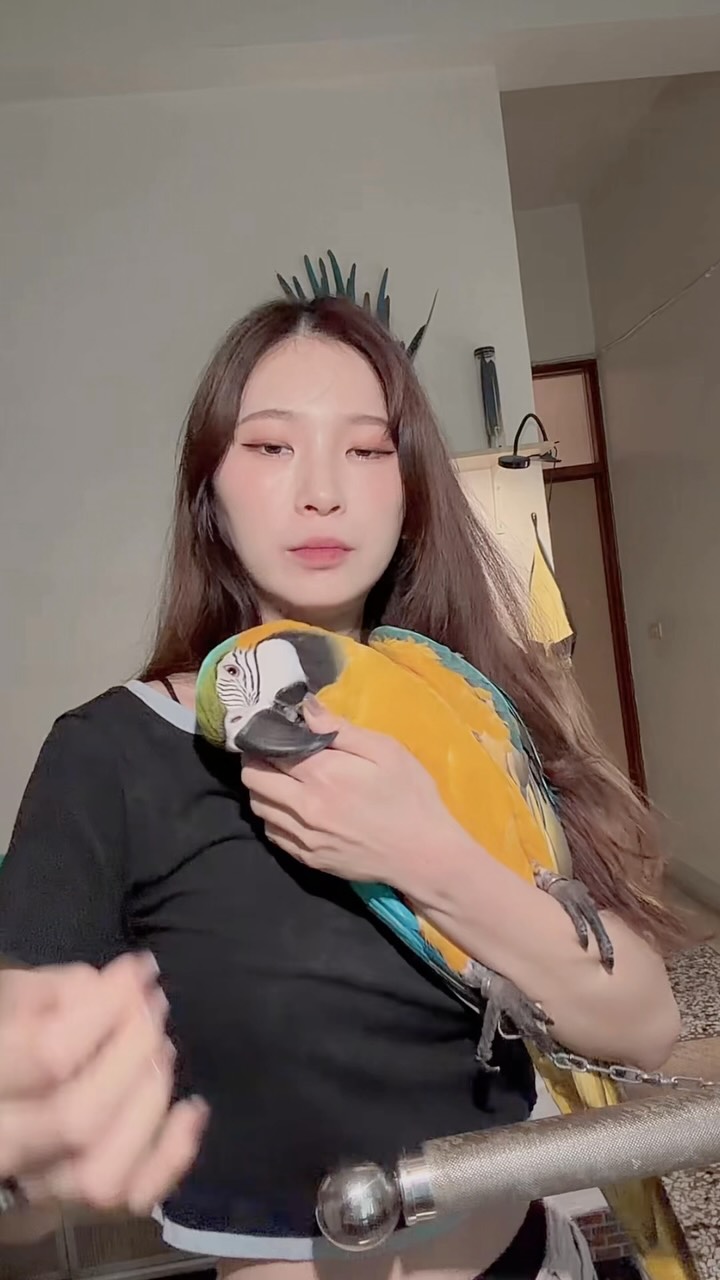 這隻鳥是不是壞掉了？😑😑
 #金剛鸚鵡 #軟爛鳥 #可愛い #萌寵 #鸚鵡 縮圖
