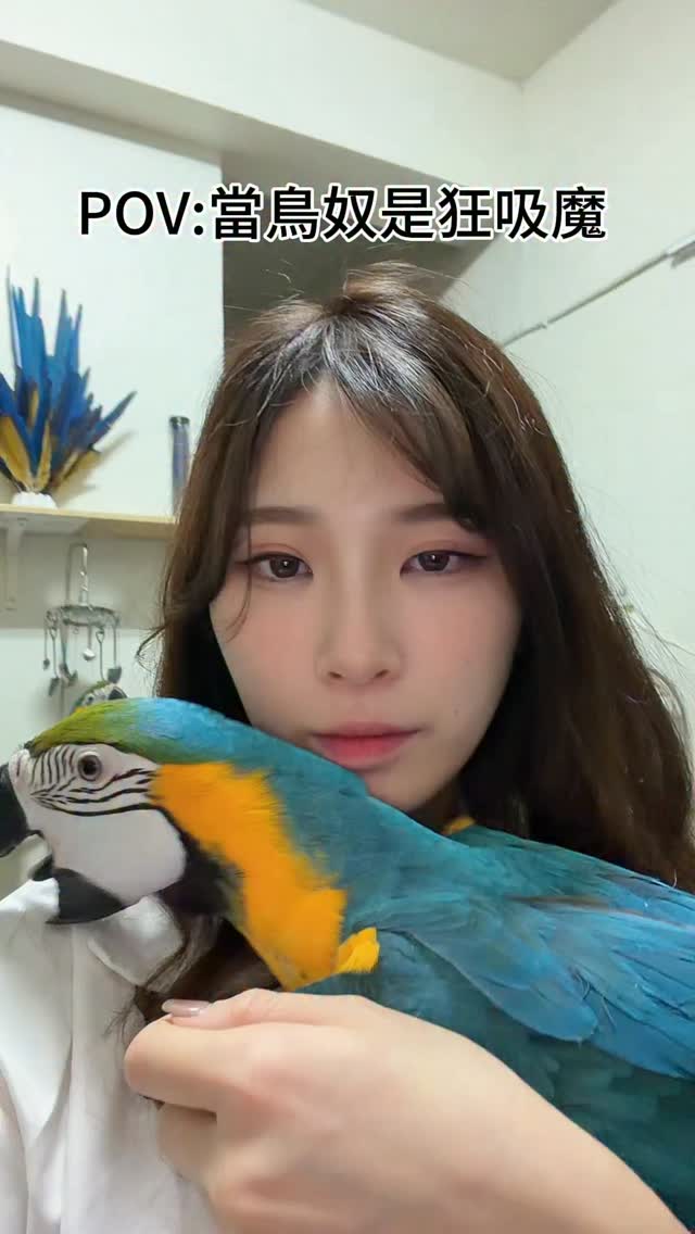 鳥奴的快樂～三隻都不同味道😗😗 #療癒 #日常 #趣味 #吸鳥 #鸚鵡 縮圖