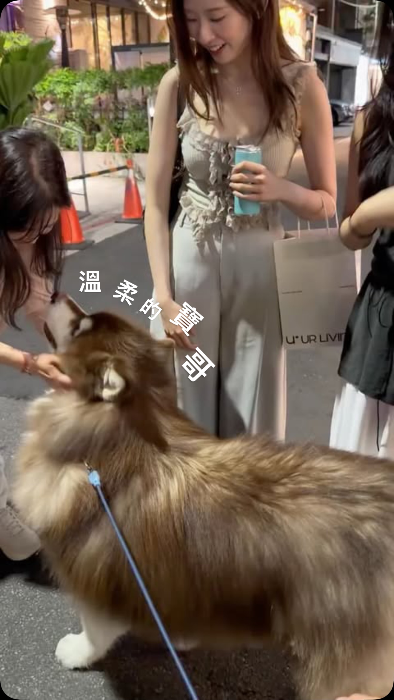 天氣好寶哥帶弟弟妹妹來中山商圈走走,小姐姐很開心的摸著葛格跟弟弟妹妹,並且不斷地提問!
我辣個鏟屎官被問的有點詞窮,問到金寶的馬麻的時候還轉移話題⋯
#不容易的鏟屎官
#阿拉斯加雪橇犬
#alaskanmalamute 縮圖