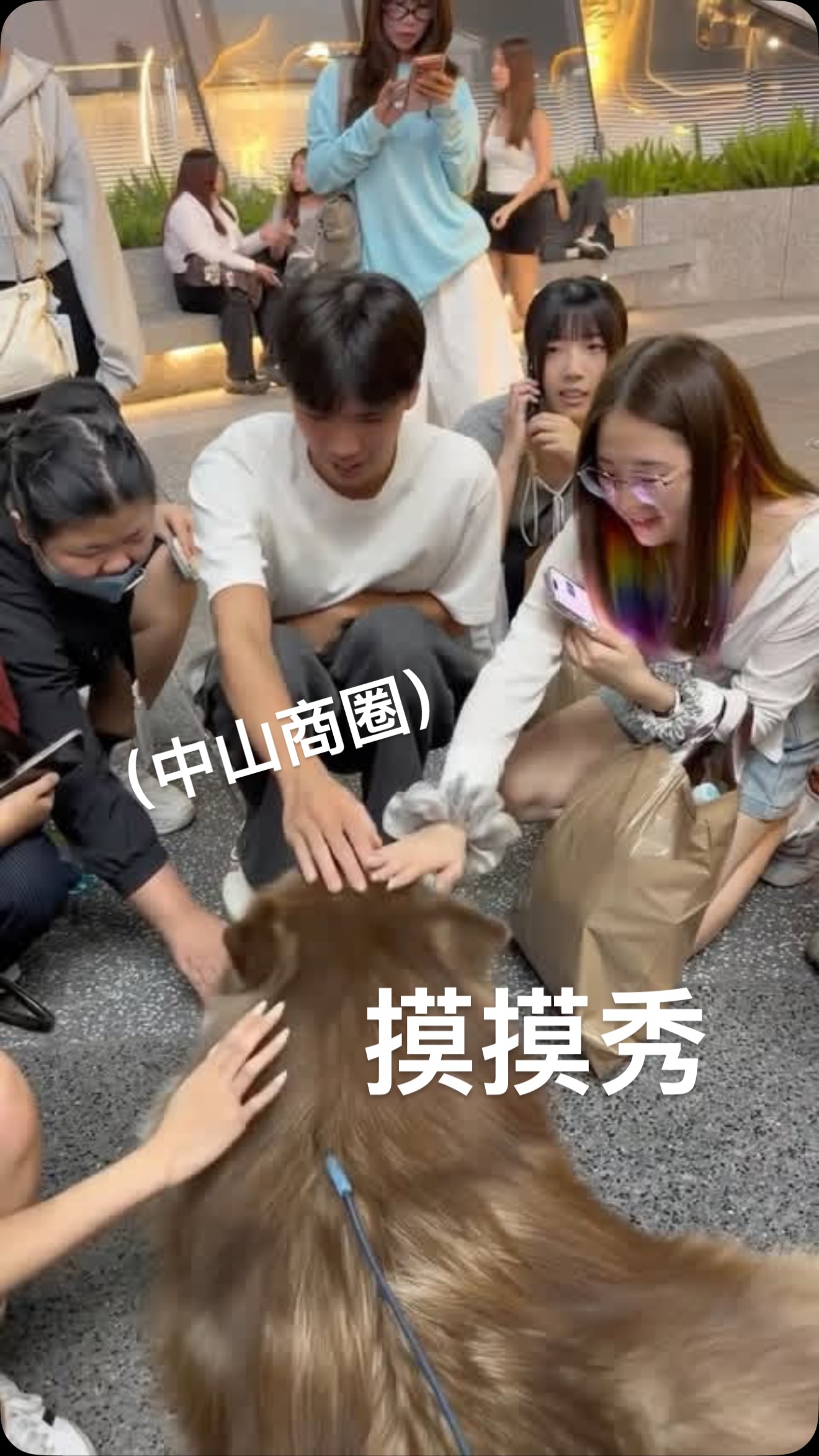 今天轉移陣地,從美麗華來到了中山商圈,人潮依舊洶湧!
#阿拉斯加雪橇犬
#alaskanmalamute 縮圖