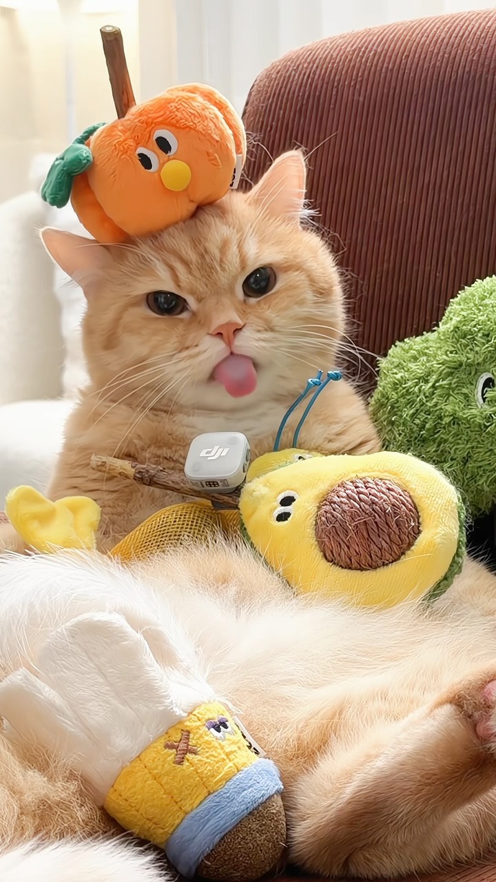 👅🎃 ZEZE 🐱🥑 縮圖