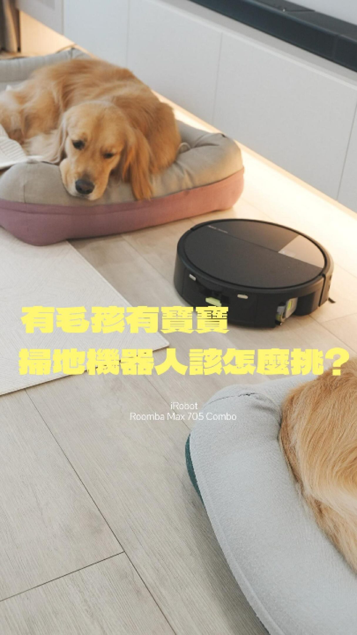 有兩隻黃金+一個正在到處爬的寶寶,
我家的地板真的每天都像戰場
狗毛、腳印、吃飯掉下來的食物碎屑,
甚至狗狗踩過的口水跟泥沙,
只要一天沒整理,很快就又是一片狼藉。
所以現在我對掃地機器人的要求真的很高,
不是「有掃有拖」就可以。
我需要的是,它真的能把地板弄乾淨。
最近用 Roomba Max 705 Combo+AutoWash,
最有感的就是它的熱水滾筒拖地。
以前用冷水拖完,
有時候比較像把地板弄濕而已,
但熱水搭配震動刷洗,
對我們家這種每天都有狗狗腳印、生活污漬的地板,清潔感真的差很多。
而且它不是只會掃地。
金毛掉毛量有多誇張,養過的人一定懂
四段除塵系統可以把毛髮吸起來,多層過濾也能減少地板上的毛屑跟髒污。
我很在意的還有 AI 避障,
因為家裡有寶寶跟兩隻狗,
地上真的什麼都有:
玩具、電線、狗碗,甚至最可怕的寵物便便😂
能辨識、繞開這些東西,對我來說真的比單純吸力多強還重要。
最懶人友善的就是清潔完直接自己回基座洗拖布、烘乾,集塵也不用一直手動處理。
平常我就用 APP 設定清潔區域、禁區跟任務,
甚至抱著歐森的時候,也可以直接用語音叫它開始工作。
有寶寶、有毛孩的家,真的每天都有整理不完的事情。
所以現在我更想把時間留給歐森、歐力跟卡力,
地板這件事,就交給 Roomba Max 705。
畢竟媽媽需要的不是一台「會掃地」的機器,
而是一台真的可以幫忙分擔家事的隊友。
Roomba Max 705 Combo+AutoWash™
活動連結放限動精選喔! 縮圖