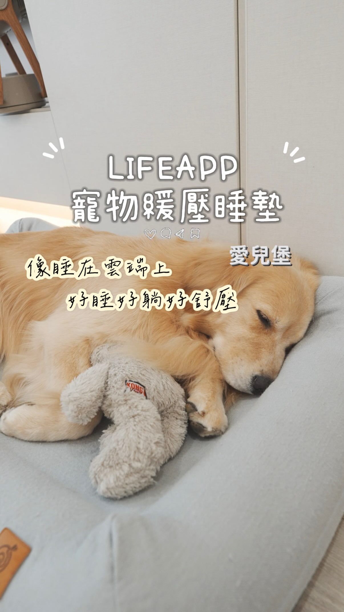 #當保姆好累
歐力卡力最近真的很累
白天要當弟弟的保姆
陪玩陪吃陪他咿咿呀呀
所以他下班以後
是真的很需要一張好床
這幾年我買過的狗床沒有七張也有八張
有塌成一片的 有洗壞的
還有太小的 更別說還有完全不睡的
能存留至今的~一定是好床吧!
歐力卡力輪流躺了兩年
就是這個LIFEAPP 的愛兒堡
可見他們真的很喜歡
L 號的尺寸
黃金這種大型犬都還有位置
歐力睡覺一定要饋頭!
四周那圈
剛好變成他的枕頭
還很有安全感
媽媽我最喜歡的就是
這組床完全都能自己清洗!
布套拉鍊都能拆
不需要送洗我覺得很方便
卡力小時候很愛尿床
連內芯也可以沖一沖放通風的地方陰乾
洗完味道也不易殘留
內芯的材質跟歐森嬰兒床墊居然是一樣的
連寶寶都搶著睡
小狗一天要睡16小時
透氣又能舒壓的床墊
真的比什麼都更重要
看歐力熟睡的跟小寶寶一樣
媽媽我就好滿足
@lifeapptw
#寵物床 #狗狗日記 #lifeapp #黃金獵犬 縮圖