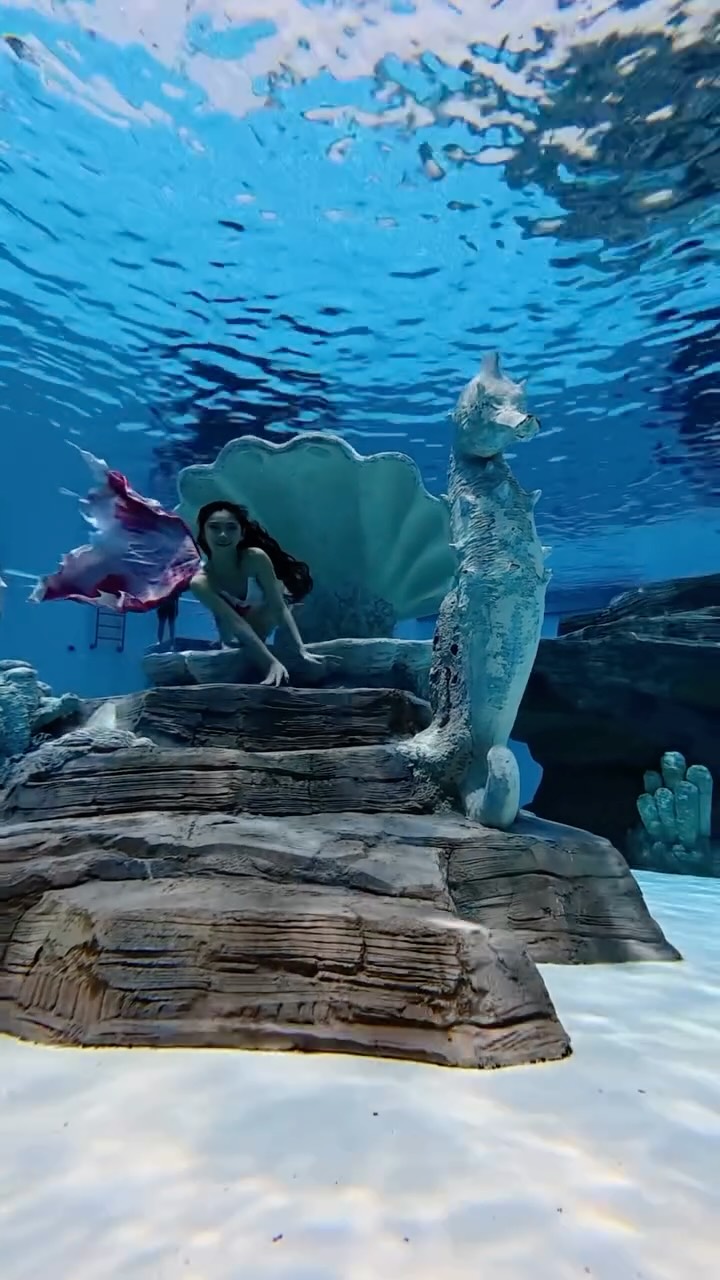 Wave park 水下紀錄✨
📷: @romo_freediving
#mermaid #美人魚 #韓國潛水 縮圖