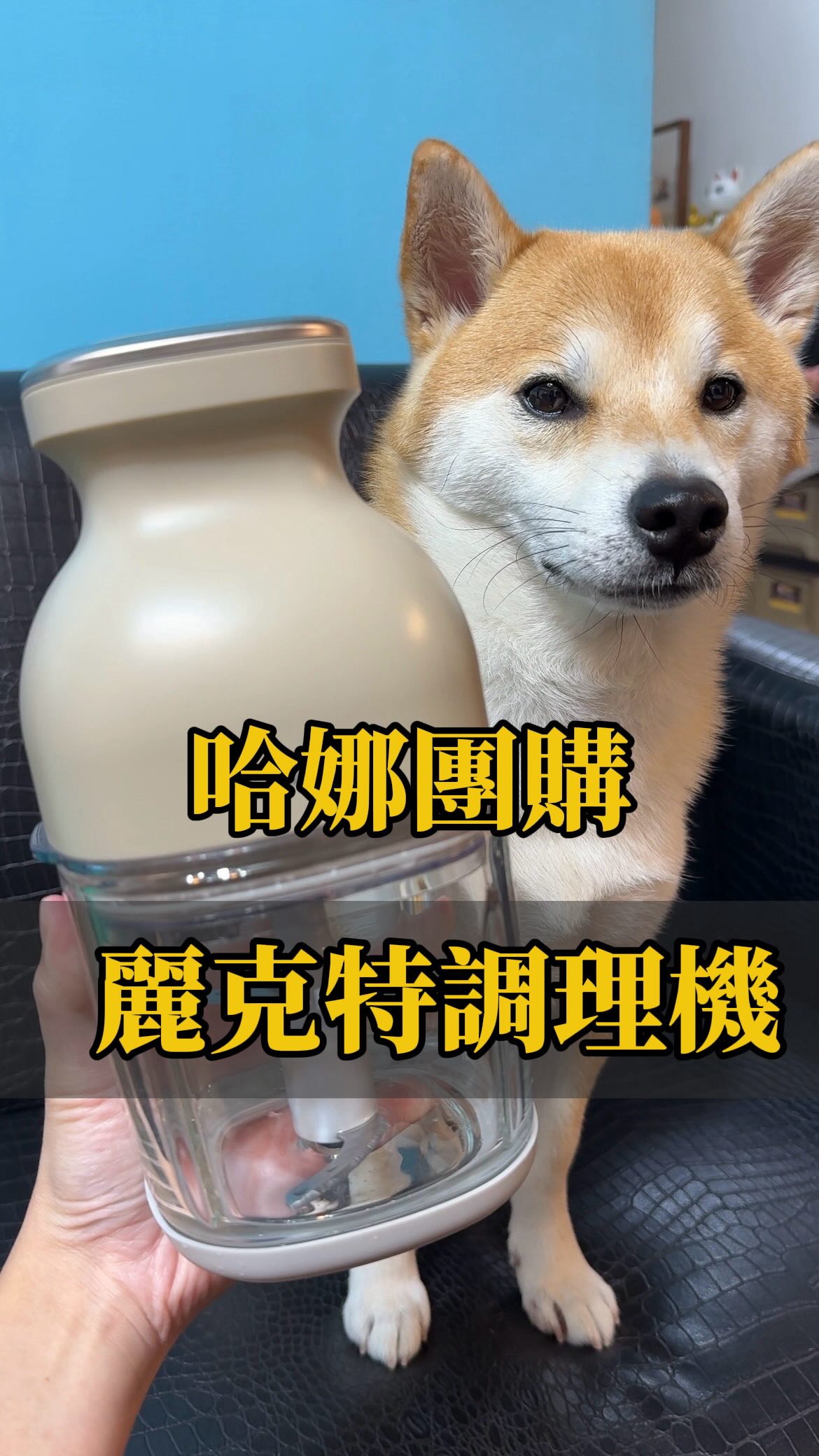 🥹🥹🥹團購結束囉🥹🥹🥹

🐾哈娜X 麗克特調理機 限時團購🐾
團購時間：8/12-8/20

✨連結：留言【調理機】傳給你呦
主頁也有放連結
限時動態精選也有
可以去看我們第一次用的紀錄
（鄉巴佬被驚艷的影片）

前陣子超紅的麗克特調理機
本來想說家裡已經有果汁機了
一定用不到 結果啪啪 ！打臉自己
完全是不同等級的東西
之前用果汁機打雞胸肉直接大翻車
現在做肉丸 超迅速又不費力
可以挑戰更多寵物鮮食零食了🥹

使用心得：
✅不用插電 無線很方便
✅體積小 好收納
✅使用起來超級迅速
✅玻璃杯 相對安全
✅刀片可以拿起來 好清洗
✅打飼料 冰塊完全問題
✅少量食材也能打碎
✅底部防滑墊

✨家裡狗狗不愛吃飼料 需要拌鮮食 
或是老狗狗不太能咀嚼
都很適合

我們自己也是拿來打各種飲料 冰沙 優格
基本上都是5分鐘搞定 超級省時間

我自己最滿意的就是不用插電
不用在那邊牽線找插頭 在客廳就能用
我覺得比較重要的是
它是玻璃杯身
不用擔心高速運轉碰撞產生的塑膠微粒
我自己目前用下來 完全沒問題
杯身零件也沒有磨損的痕跡
也很好清洗

有問題都歡迎留言或私訊我呦🧡
留言【調理機】
我的機器人好夥伴會傳連結給你✨

#柴犬哈娜 #麗克特調理機 #麗克特 
#麗克特團購 縮圖