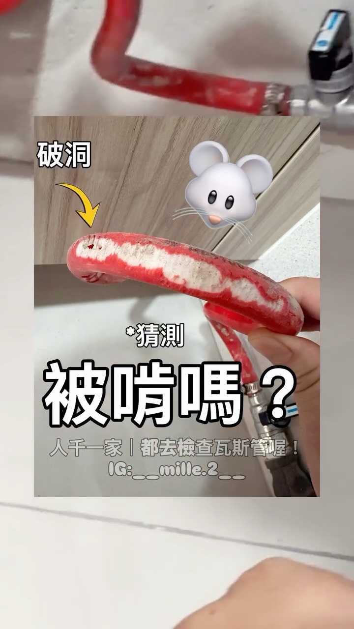 請馬上去檢查瓦斯管!
-
差點真的全家一起嘎了
萬萬沒想到
瓦斯管會破大洞
看起來像「嚙齒類」咬的
有沒有專家可以看出來?
✨藉由雅魚的大流量
一定要認真的告訴大家
!瓦斯管請定時檢查!
不管是
新屋/中古屋/正在住/驗屋
如果真的是很餓的🐭
真的會咬一個大洞
希望大家都平安
都去檢查喔
!!請答應我們!!
-
我最愛的花雕雞麵🐔
先買一箱來壓壓驚
✨用微波實測
600W / 3分鐘
是完美的熟度💓
#人千一家
#瓦斯
#居家安全
#廚房 縮圖