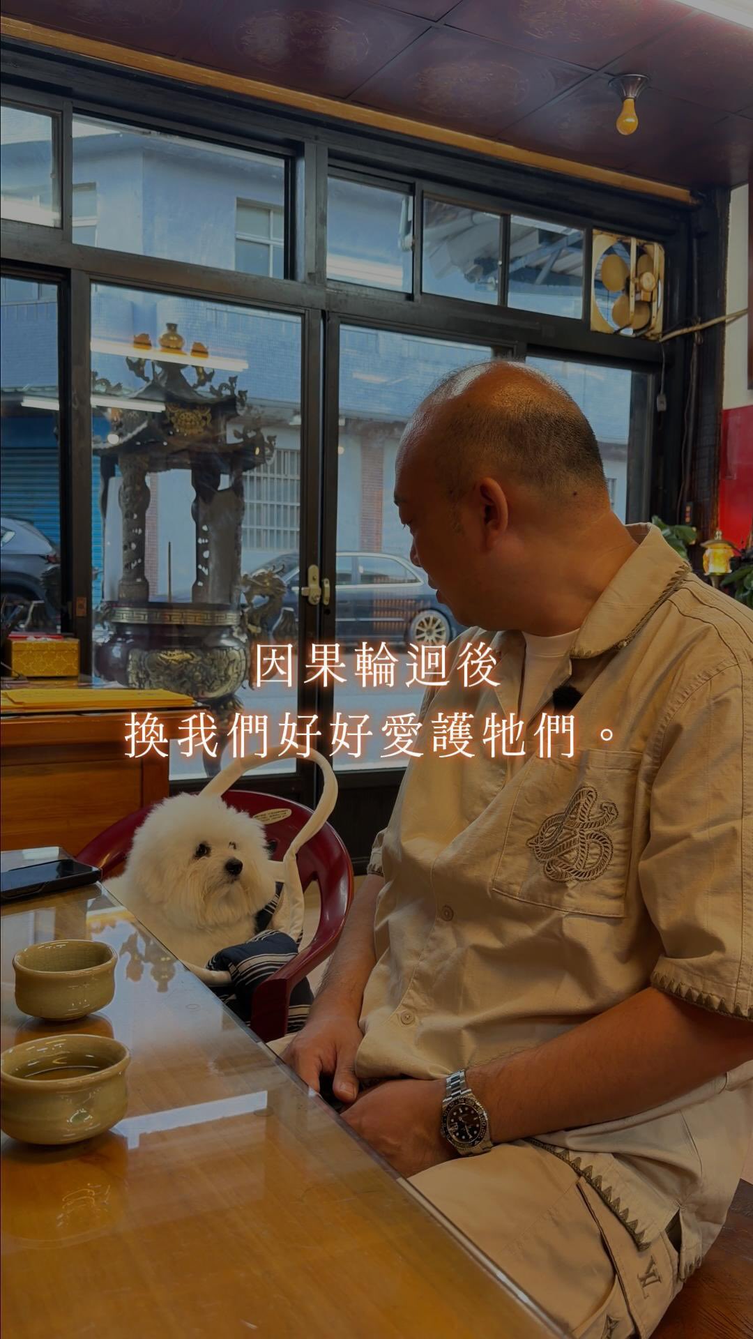 🤔你有想過為甚麼現代人對寵物特別好?我就是要全心全意的好好愛護他們!
#simon大老闆 #寵物友善 #因果輪迴 #因果循環 #寵物日常 縮圖