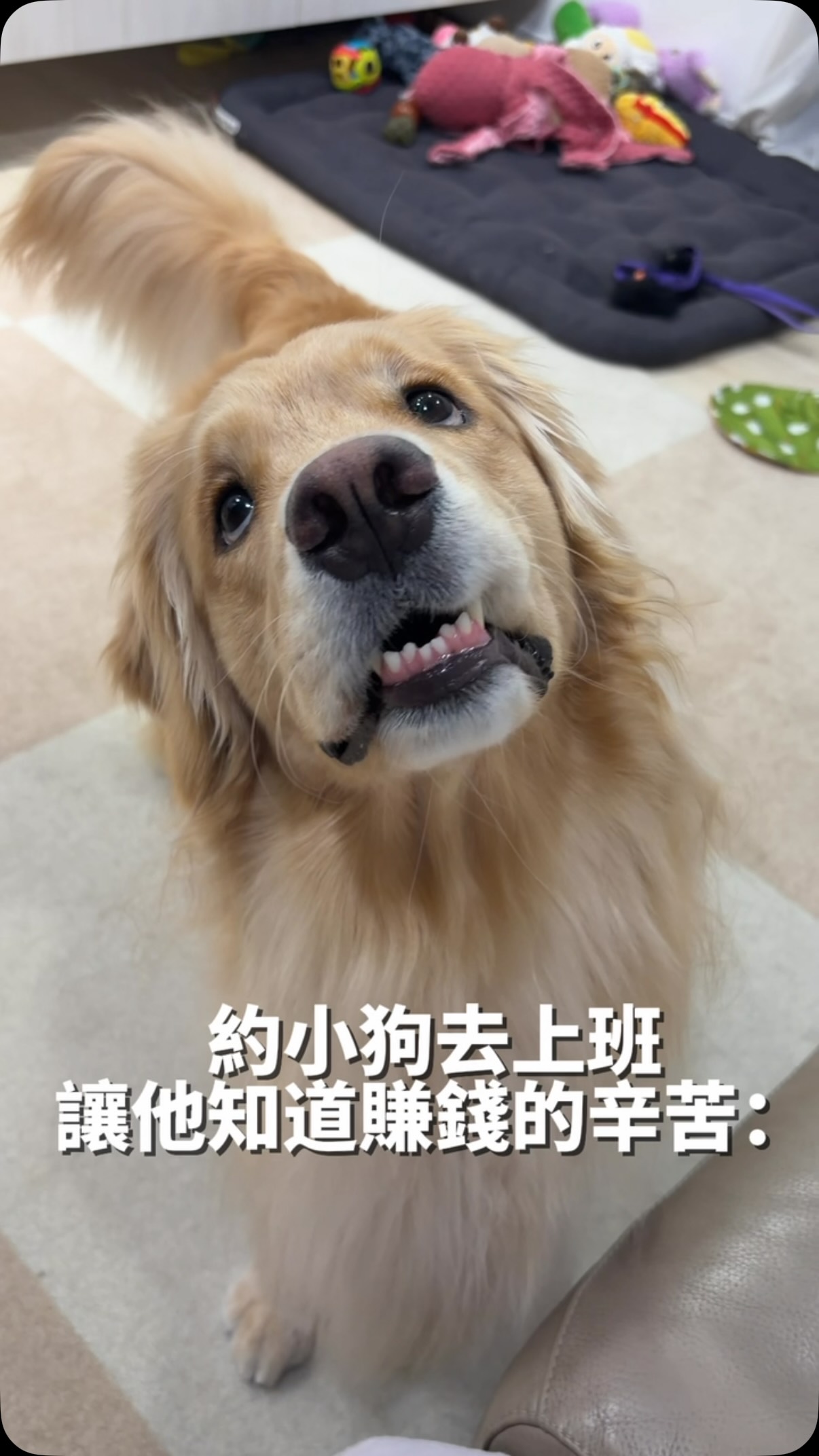 麻麻 原來有這麼好的事你要先說呀 縮圖