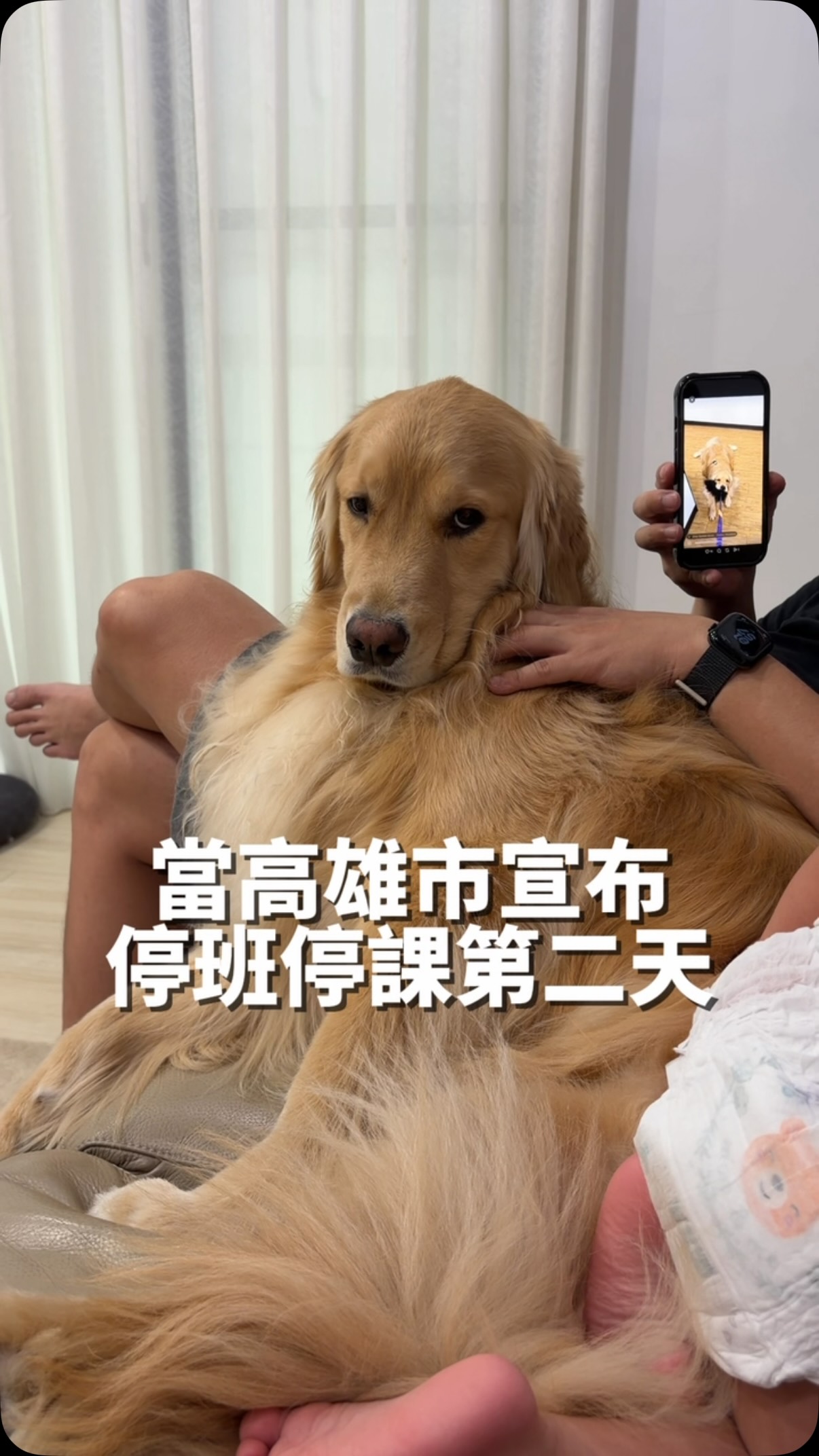 救…救…小…狗… 縮圖