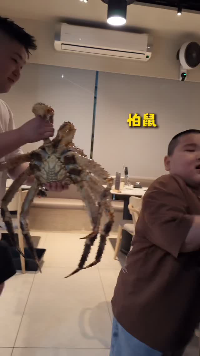 吃大大的螃蟹🦀
海翔鵝鵝付錢！
#十一棧 #帝王蟹 #仔仔 #海寬直播 縮圖