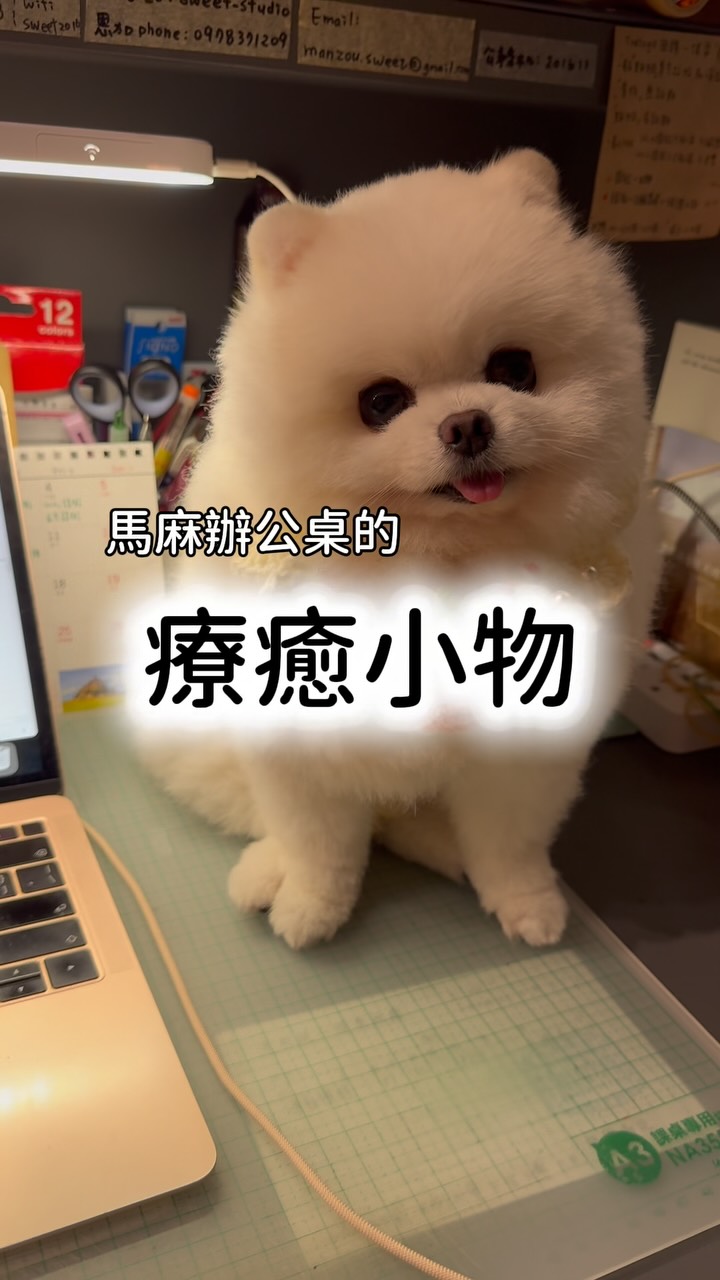 #Q的調皮日記
#不得不說 這個大小剛剛好🤔 縮圖