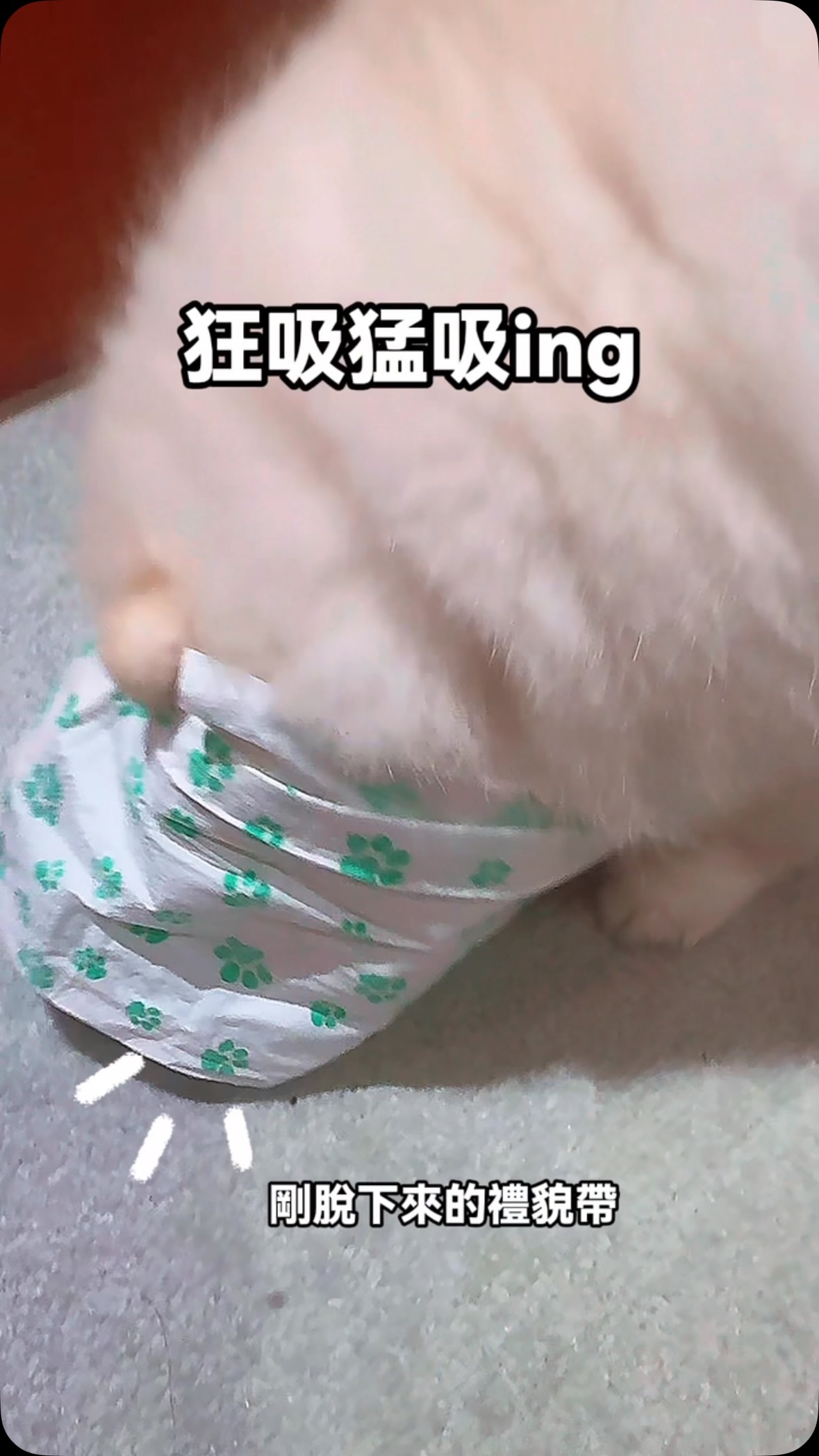 #Q的調皮日記
這味道令人無法抗拒‼️‼️ 縮圖