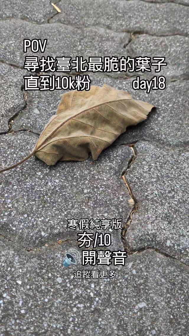 尋找臺北最脆的葉子 直到10k粉 day18

純享版其實是因為寒假沒人一起錄了🥲 縮圖
