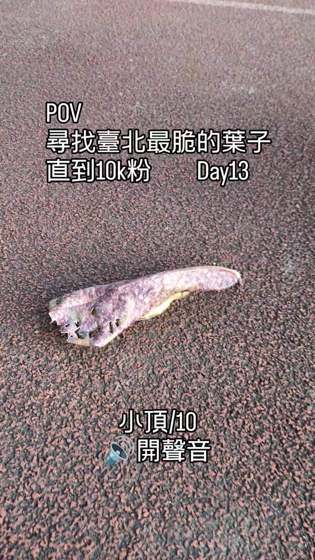 尋找臺北最脆的葉子 直到10k粉 Day13
今日不一樣的鞋子 縮圖