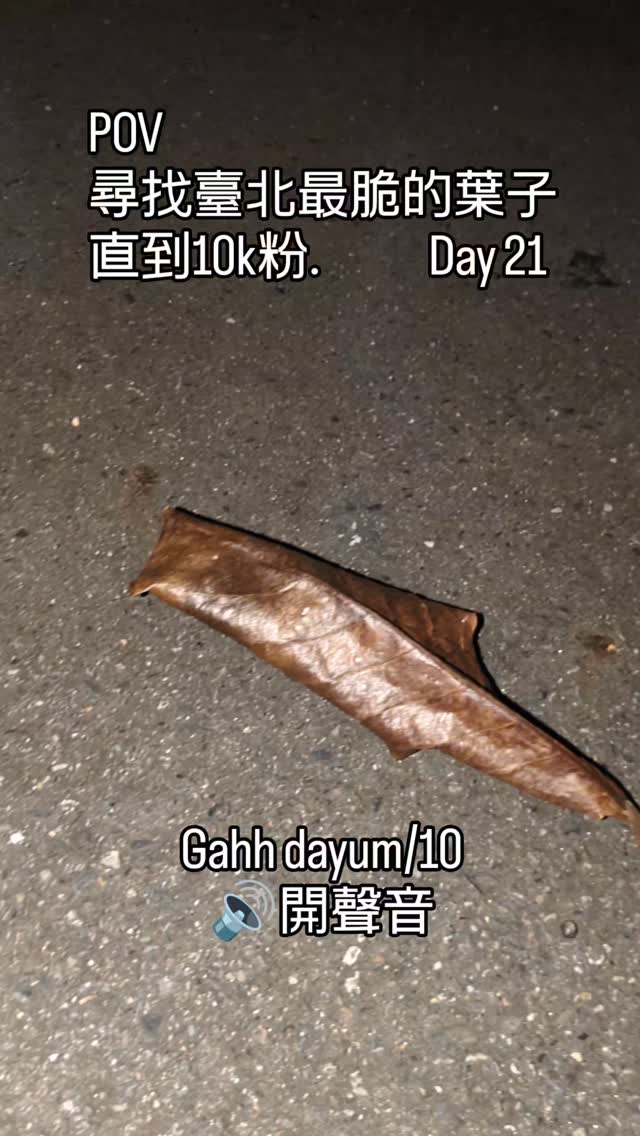 尋找臺北最脆的葉子直到10k粉.  Day 21 縮圖