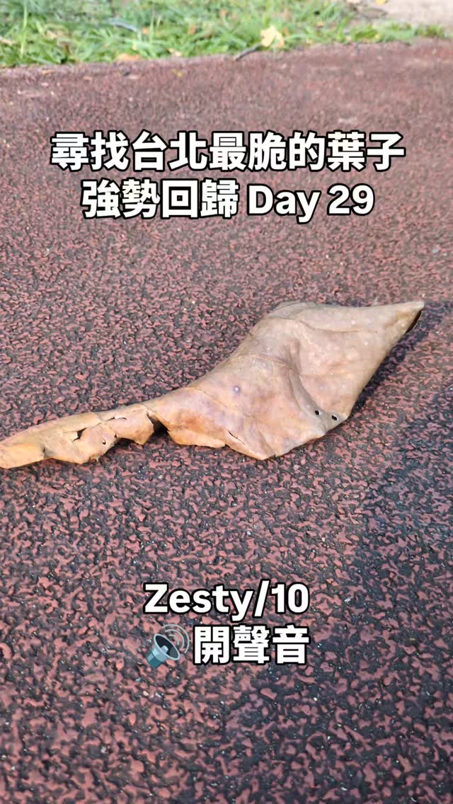 尋找臺北最脆的葉子強勢回歸 day 29 縮圖