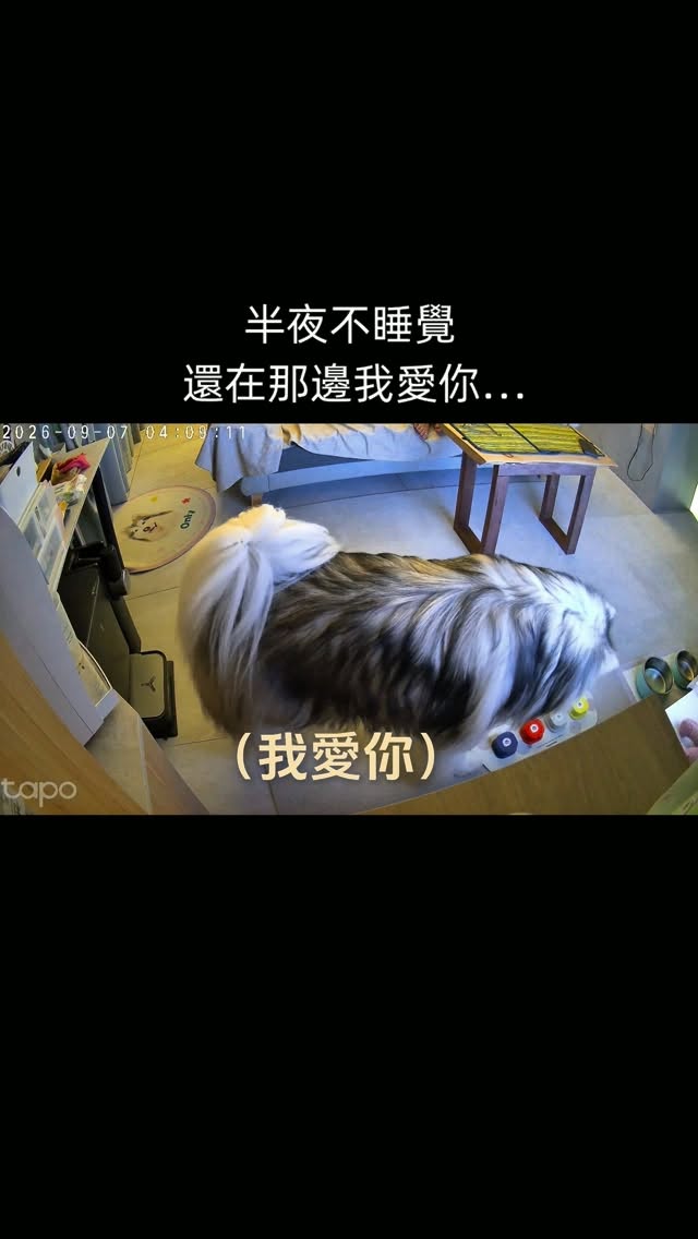 自從有了按鈕,整天在那邊我愛你……
#翁哩 #only #阿拉斯加 #大型犬
#alaskanmalamute 縮圖