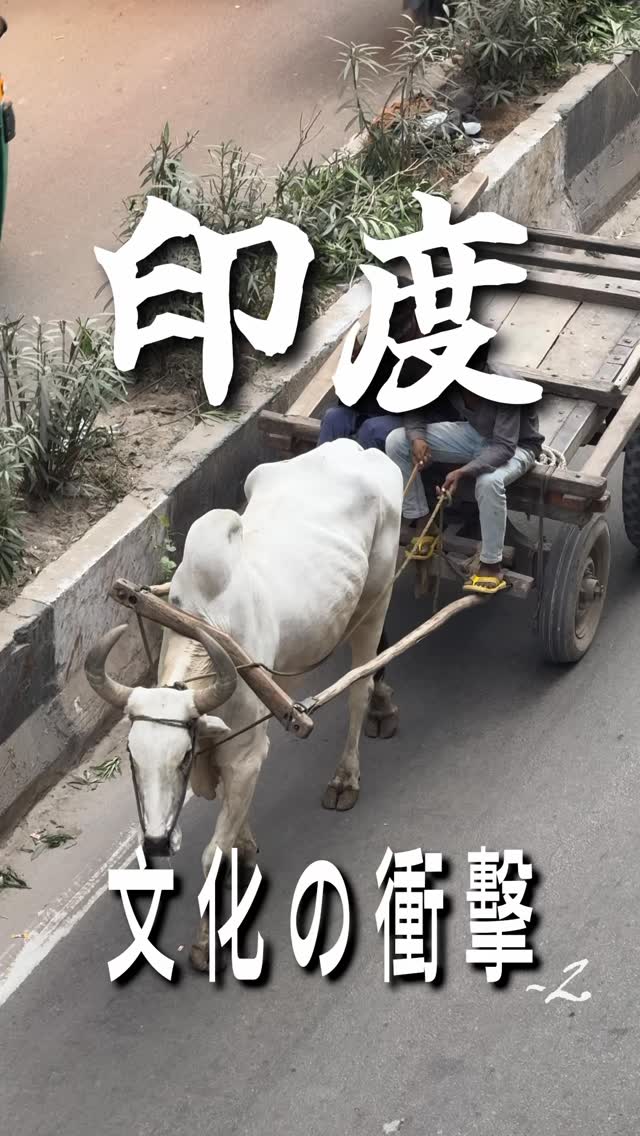 連牛也有種姓?印度竟然是牛肉出口大國?
走在印度街頭,很難不感受到,他們對宗教的信仰。不論是在廟前的膜拜,路上拜拜套裝,或者祈福點痣,還是夜市在賣祭祀花,印度全國上下對神明的信仰力真的太巨大了。
#mumbai #india #Sikhism #Hinduism 縮圖