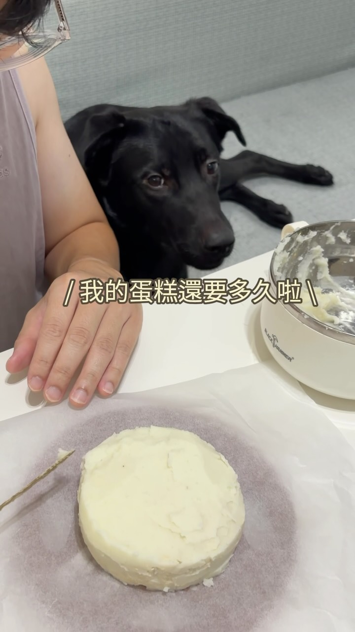 炭吉一歲生日快樂!🎂🐶❤️
平時料理很不行的馬麻,為了讓炭吉有個難忘的生日,真的做超久的功課~
把小狗蛋糕的材料跟過程簡化再簡化 😆
過程中小狗還非常盡職地在旁邊當監工(壓力超大)
幸好做出來效果很不錯,炭吉直接大秒殺!
看來為了炭吉,馬麻要開始精進廚藝了💪 縮圖
